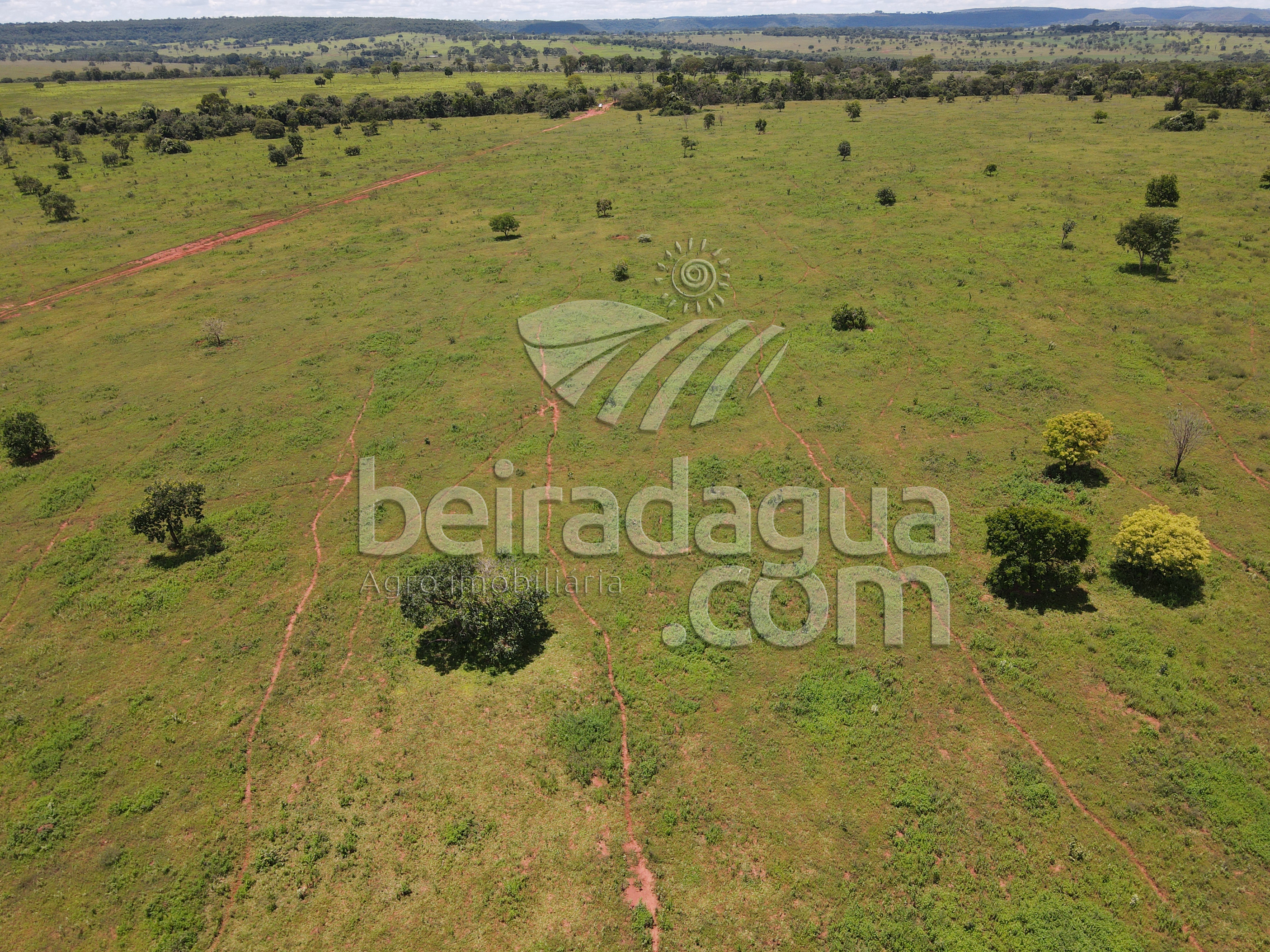 Fazenda para Comprar em Zona Rural - Campina Verde - MG