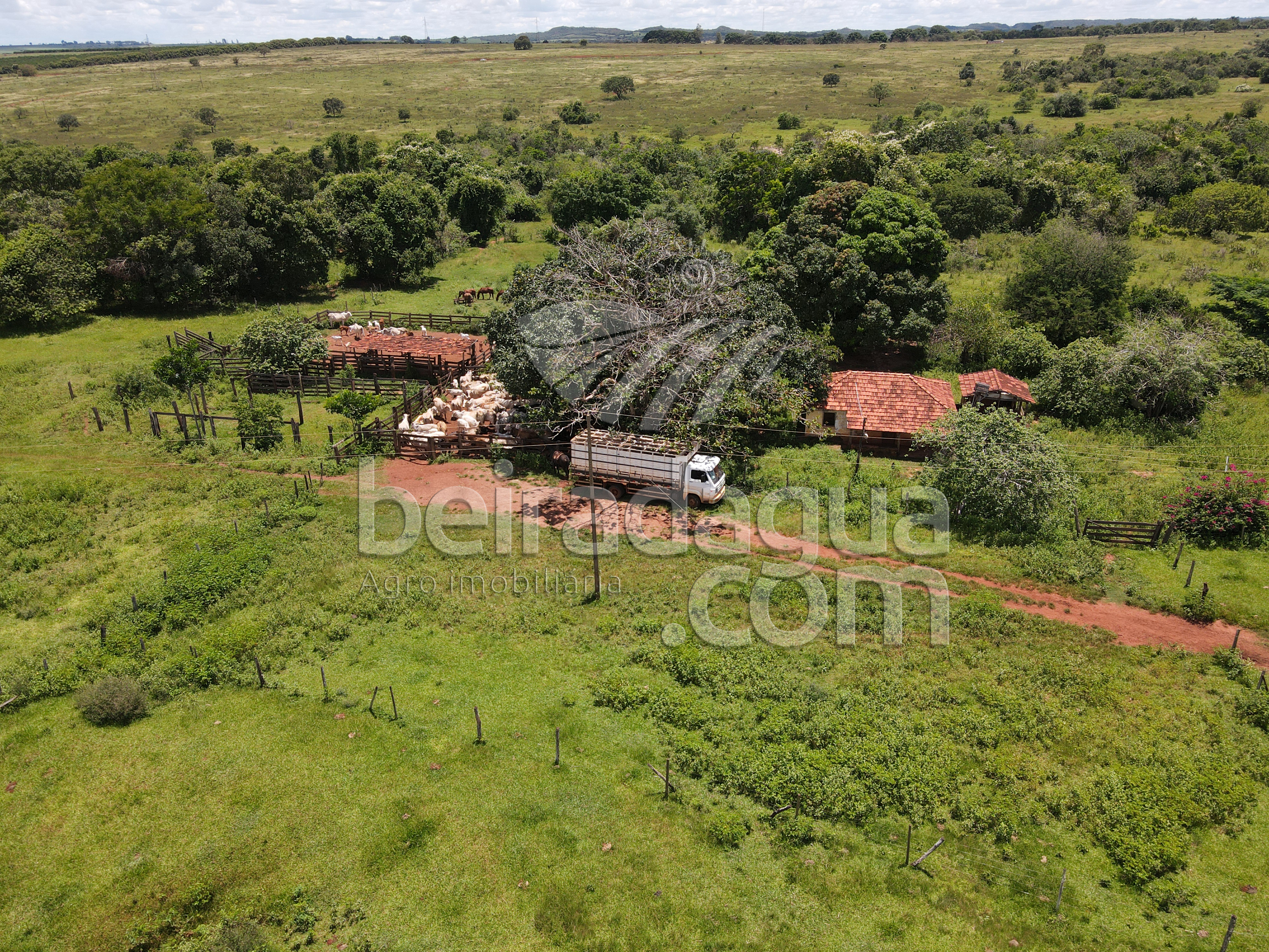 Fazenda para Comprar em Zona Rural - Campina Verde - MG