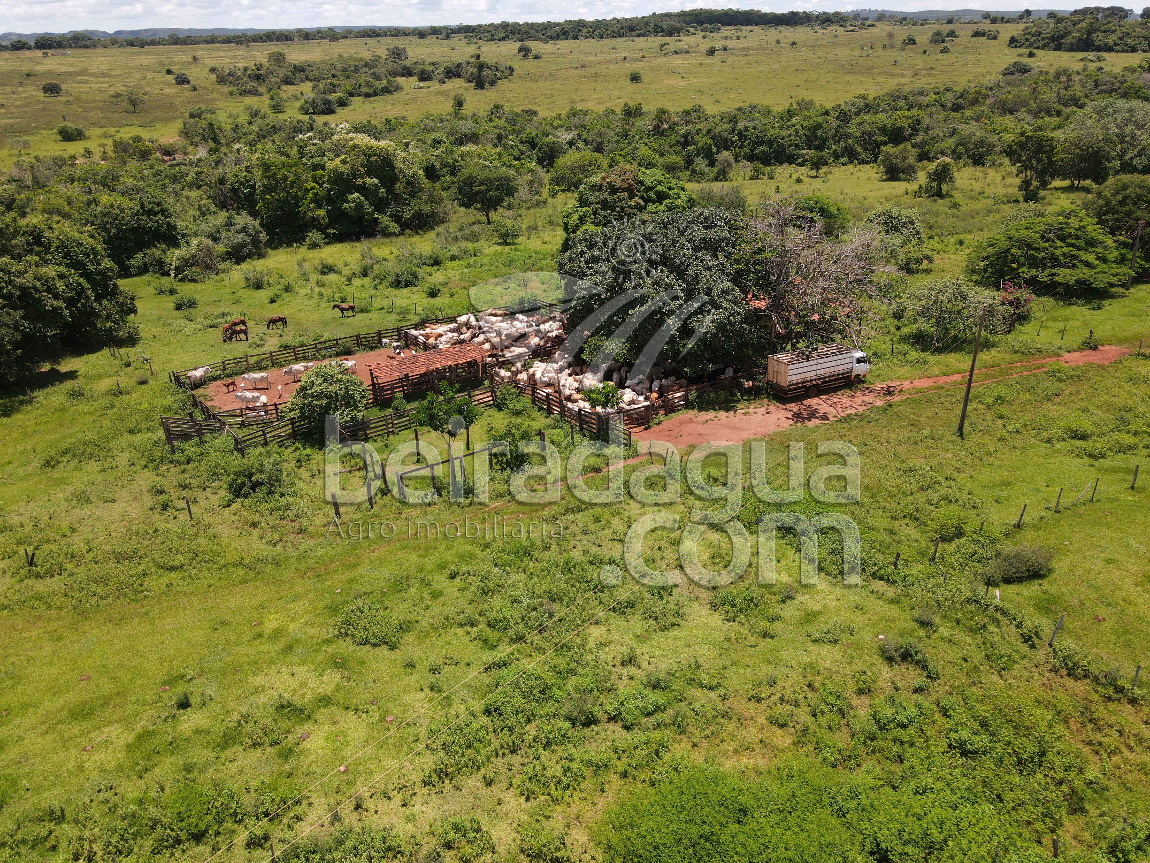 Fazenda para Comprar em Zona Rural - Campina Verde - MG