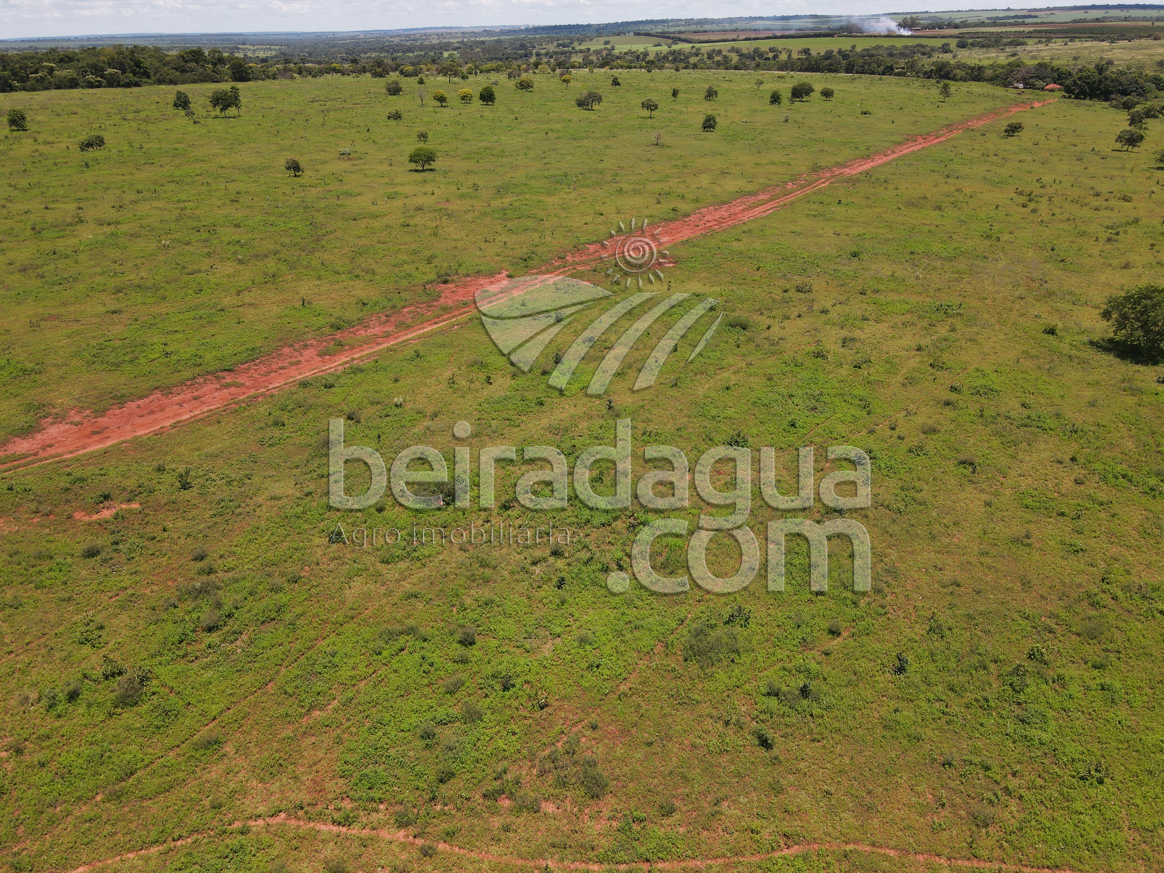 Fazenda para Comprar em Zona Rural - Campina Verde - MG