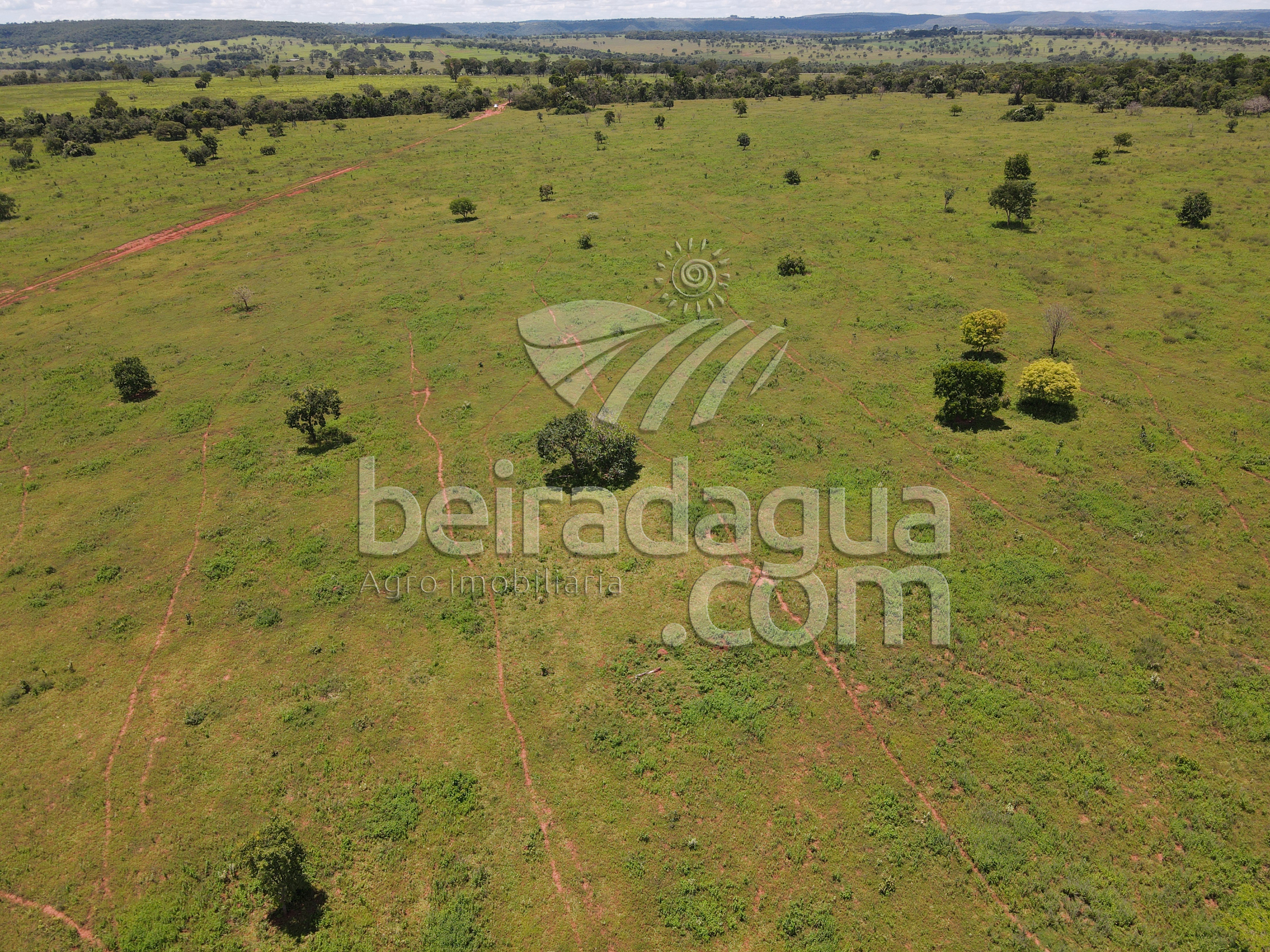 Fazenda para Comprar em Zona Rural - Campina Verde - MG
