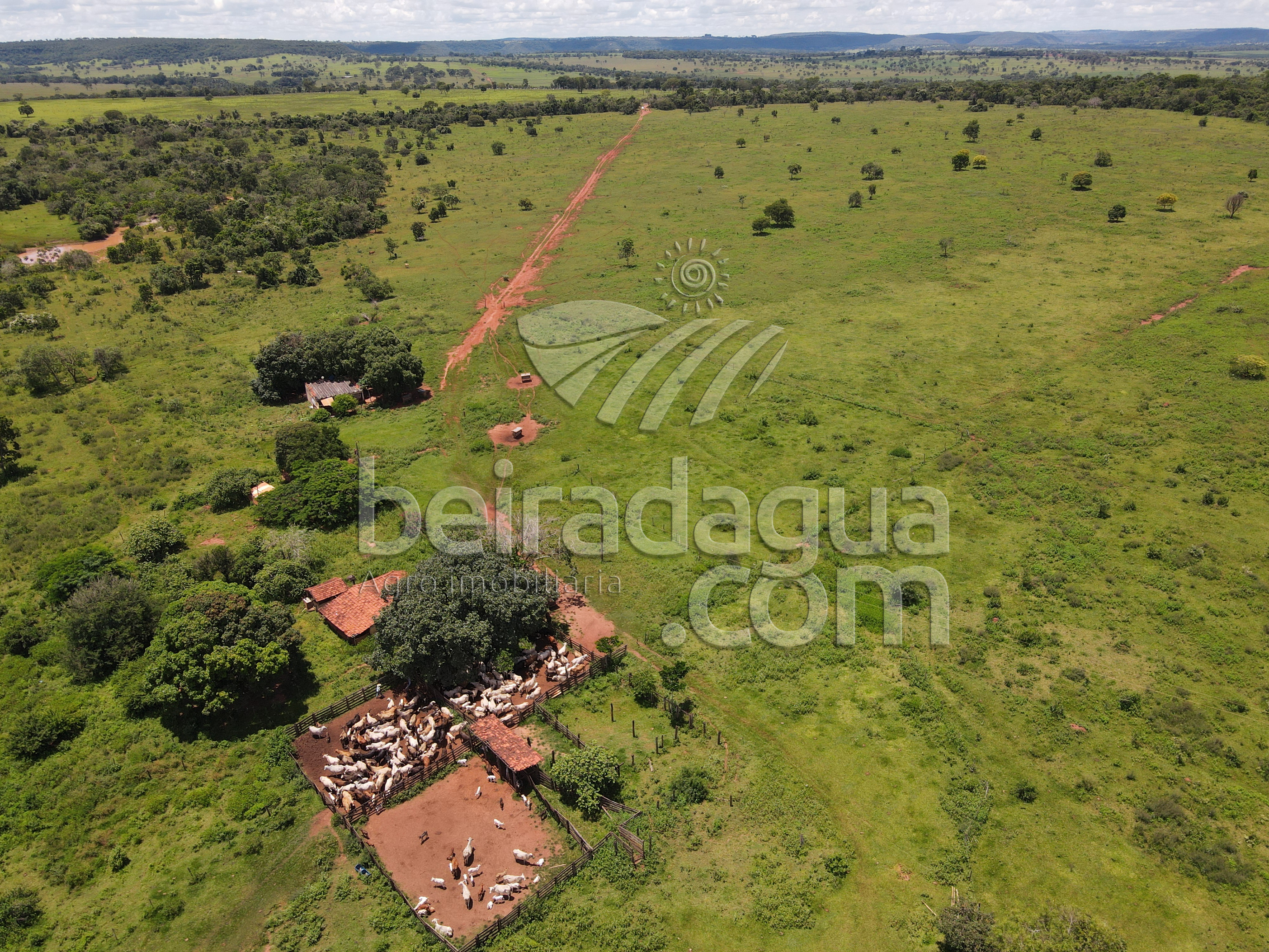 Fazenda para Comprar em Zona Rural - Campina Verde - MG