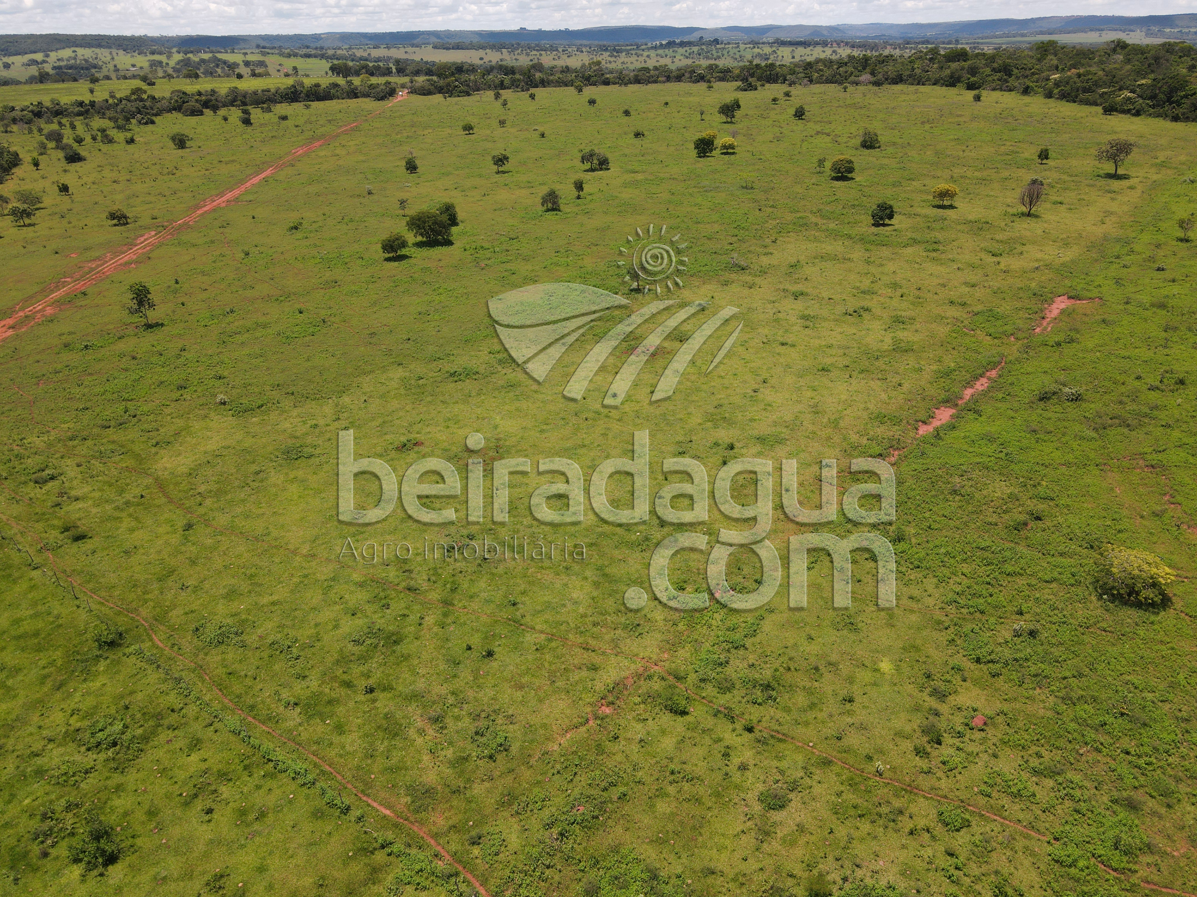 Fazenda para Comprar em Zona Rural - Campina Verde - MG