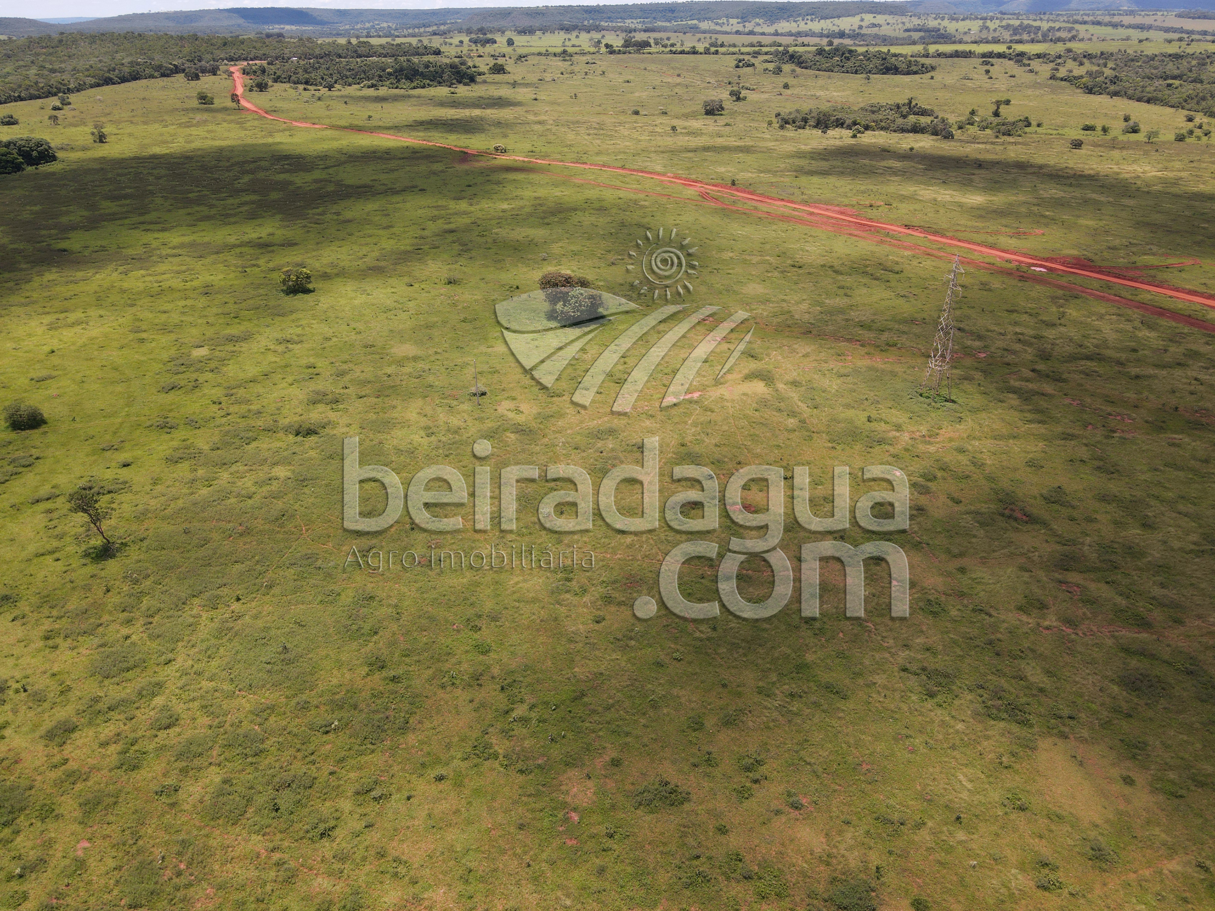 Fazenda para Comprar em Zona Rural - Campina Verde - MG