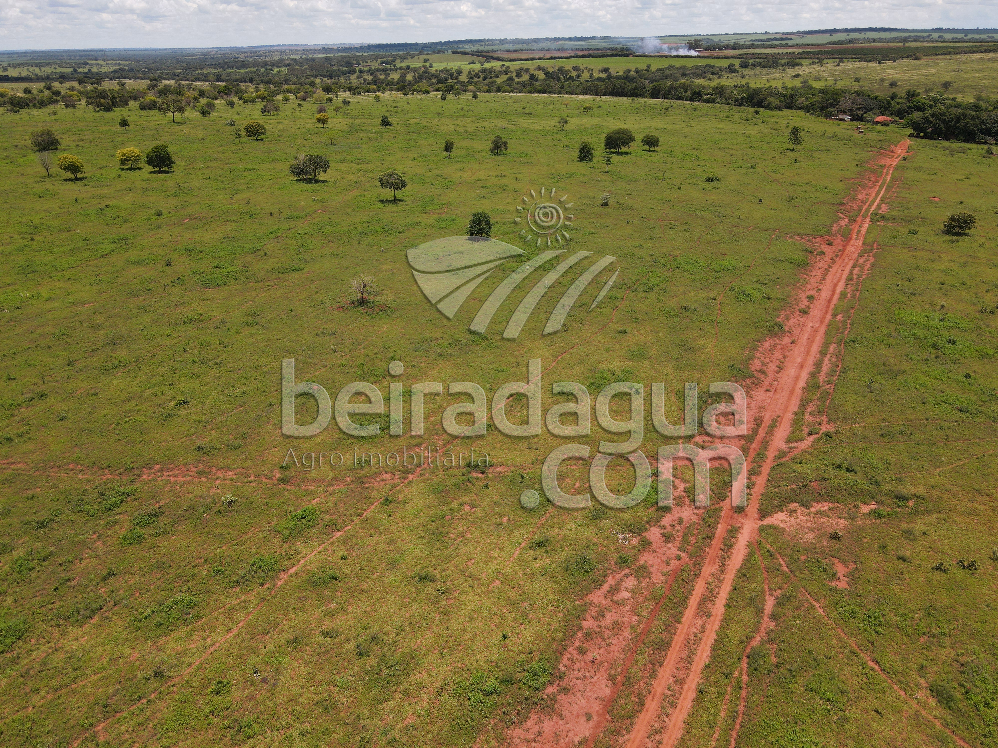 Fazenda para Comprar em Zona Rural - Campina Verde - MG