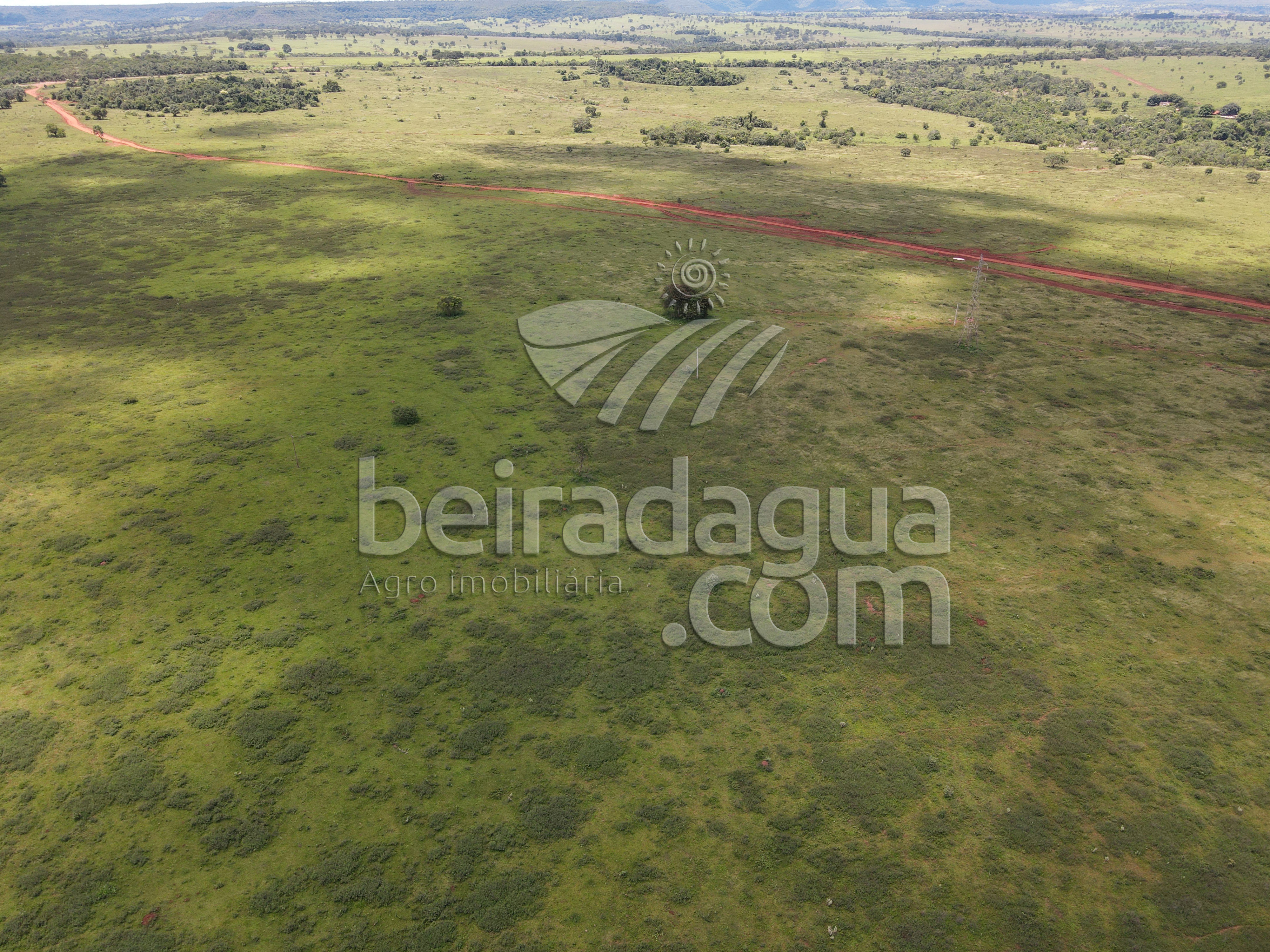 Fazenda para Comprar em Zona Rural - Campina Verde - MG