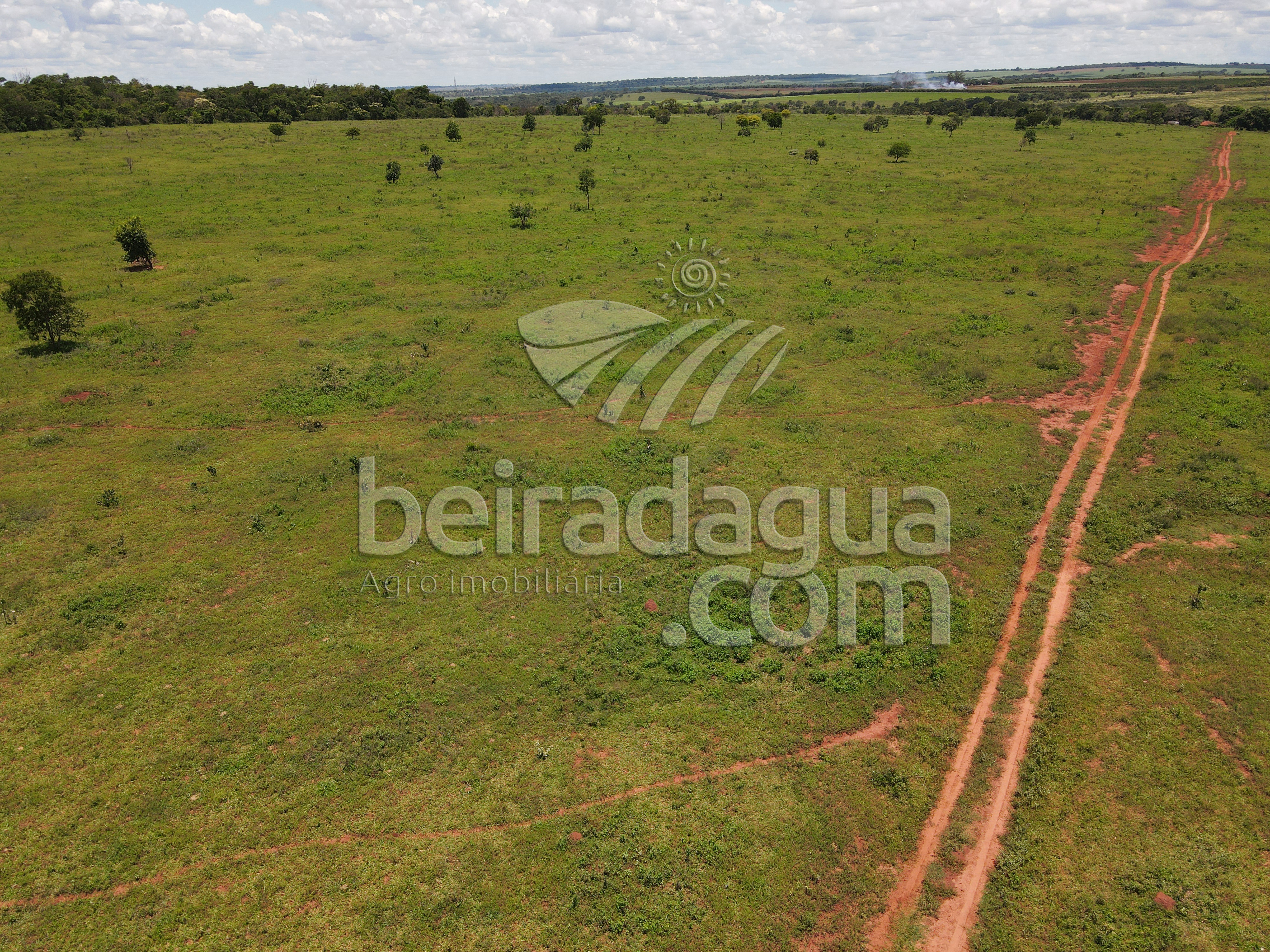 Fazenda para Comprar em Zona Rural - Campina Verde - MG