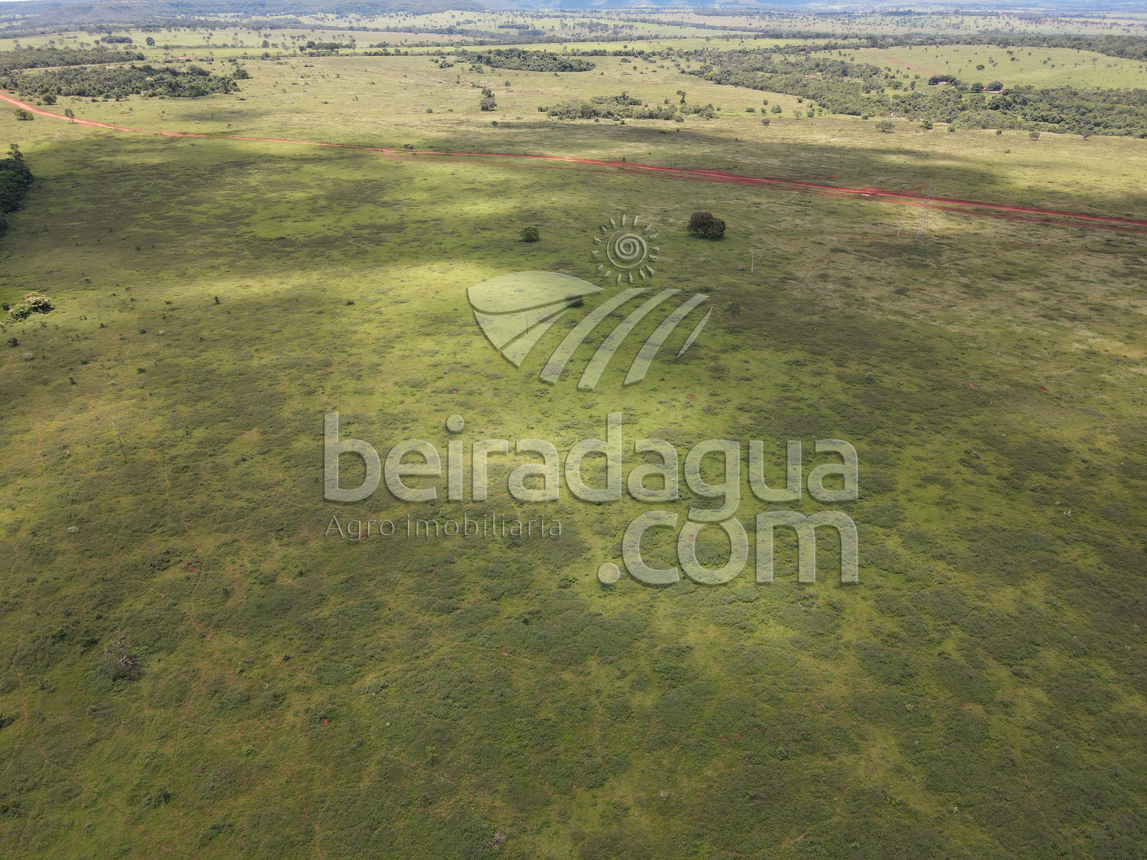 Fazenda para Comprar em Zona Rural - Campina Verde - MG