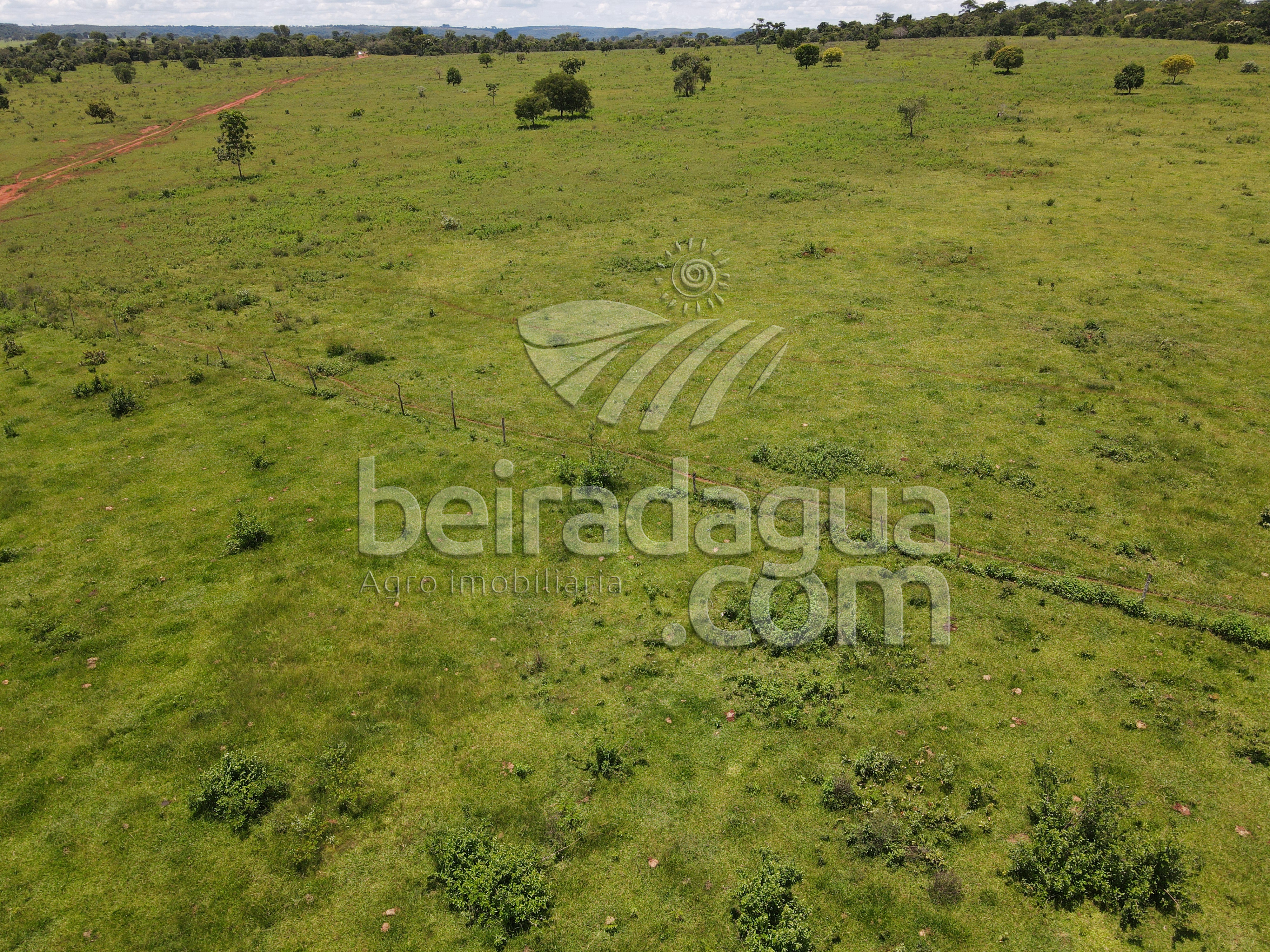 Fazenda para Comprar em Zona Rural - Campina Verde - MG