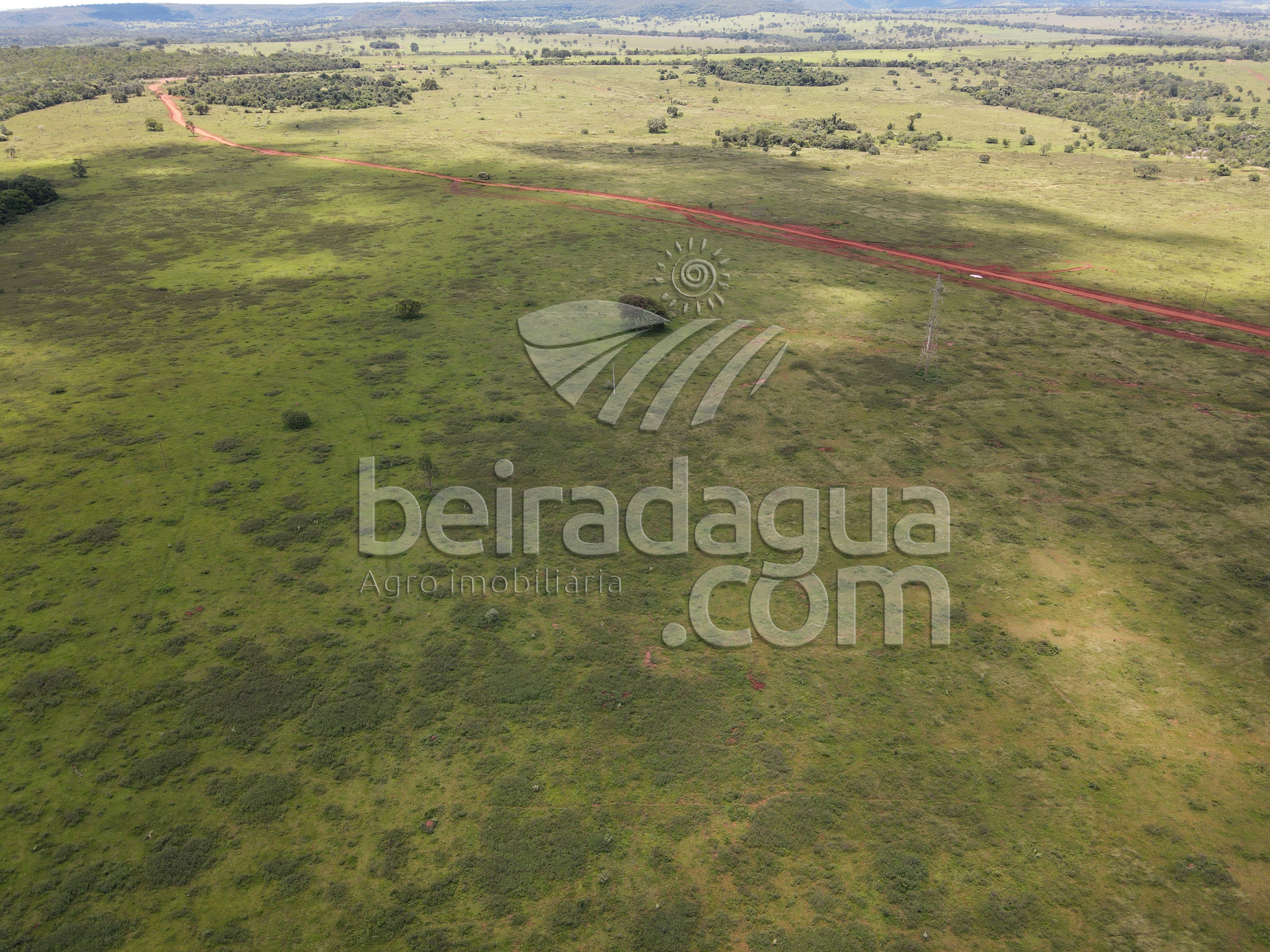 Fazenda para Comprar em Zona Rural - Campina Verde - MG