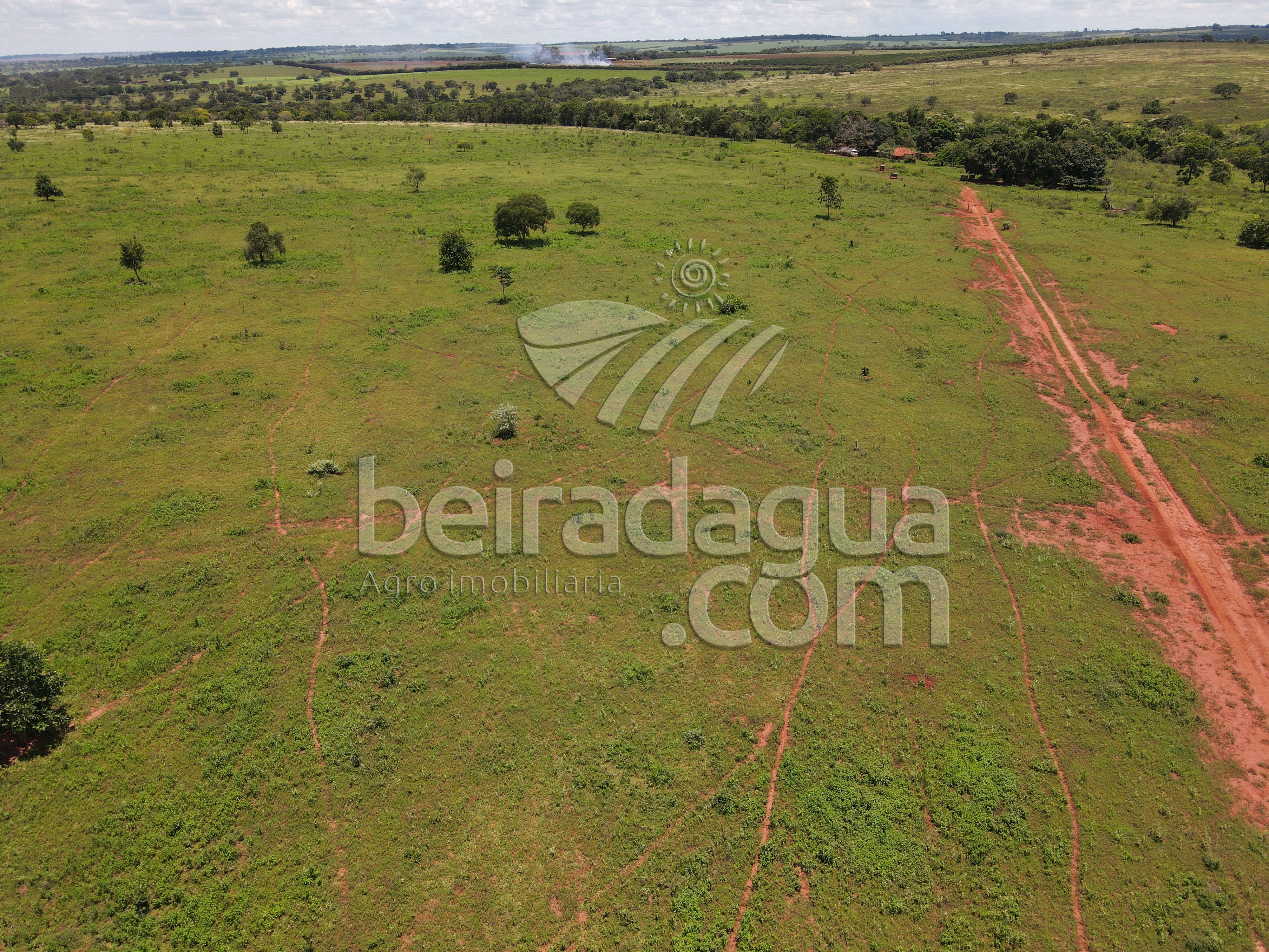 Fazenda para Comprar em Zona Rural - Campina Verde - MG
