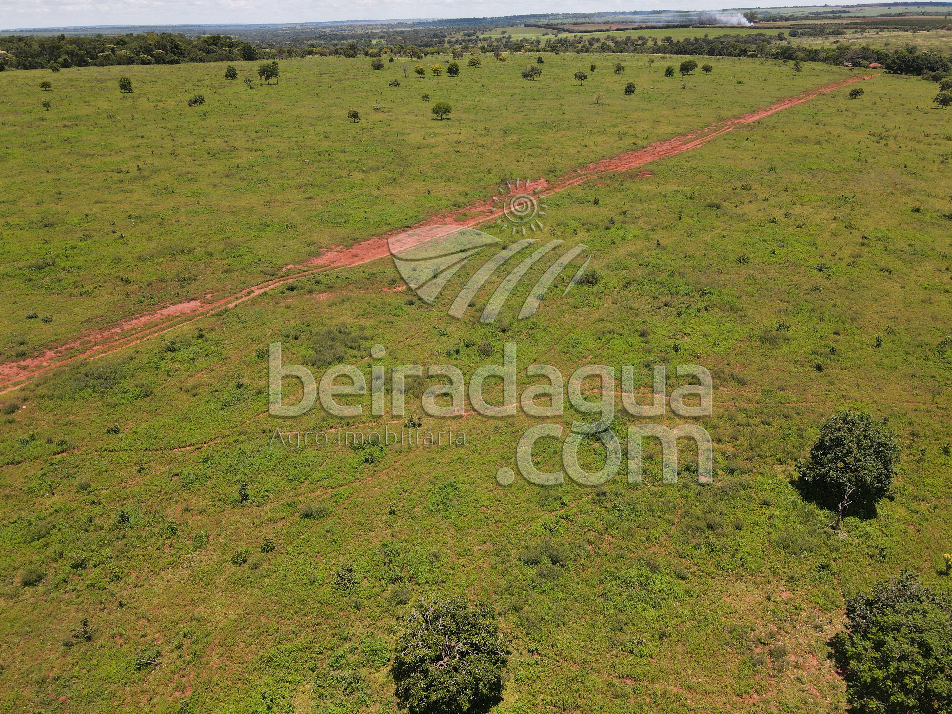Fazenda para Comprar em Zona Rural - Campina Verde - MG