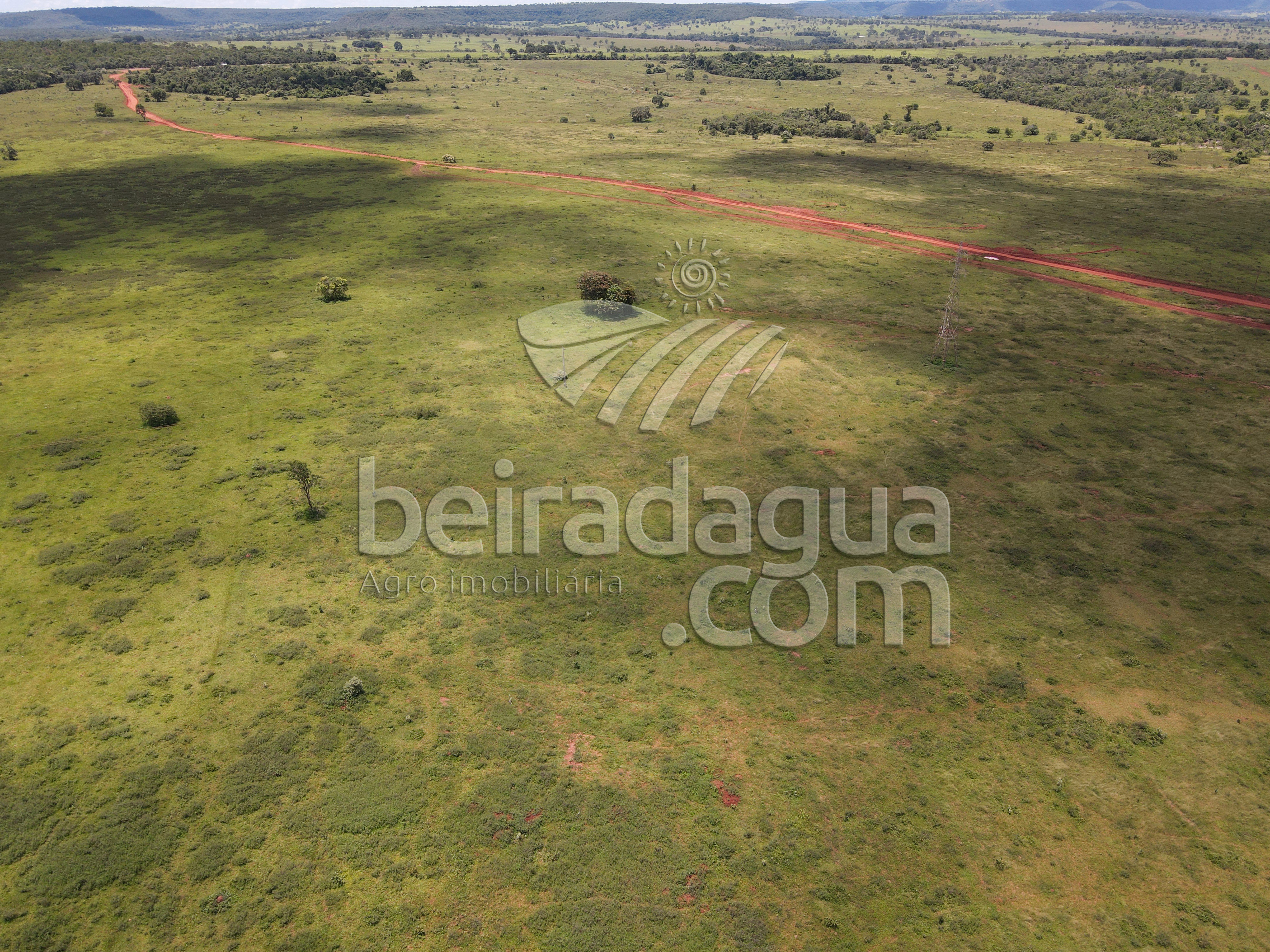 Fazenda para Comprar em Zona Rural - Campina Verde - MG