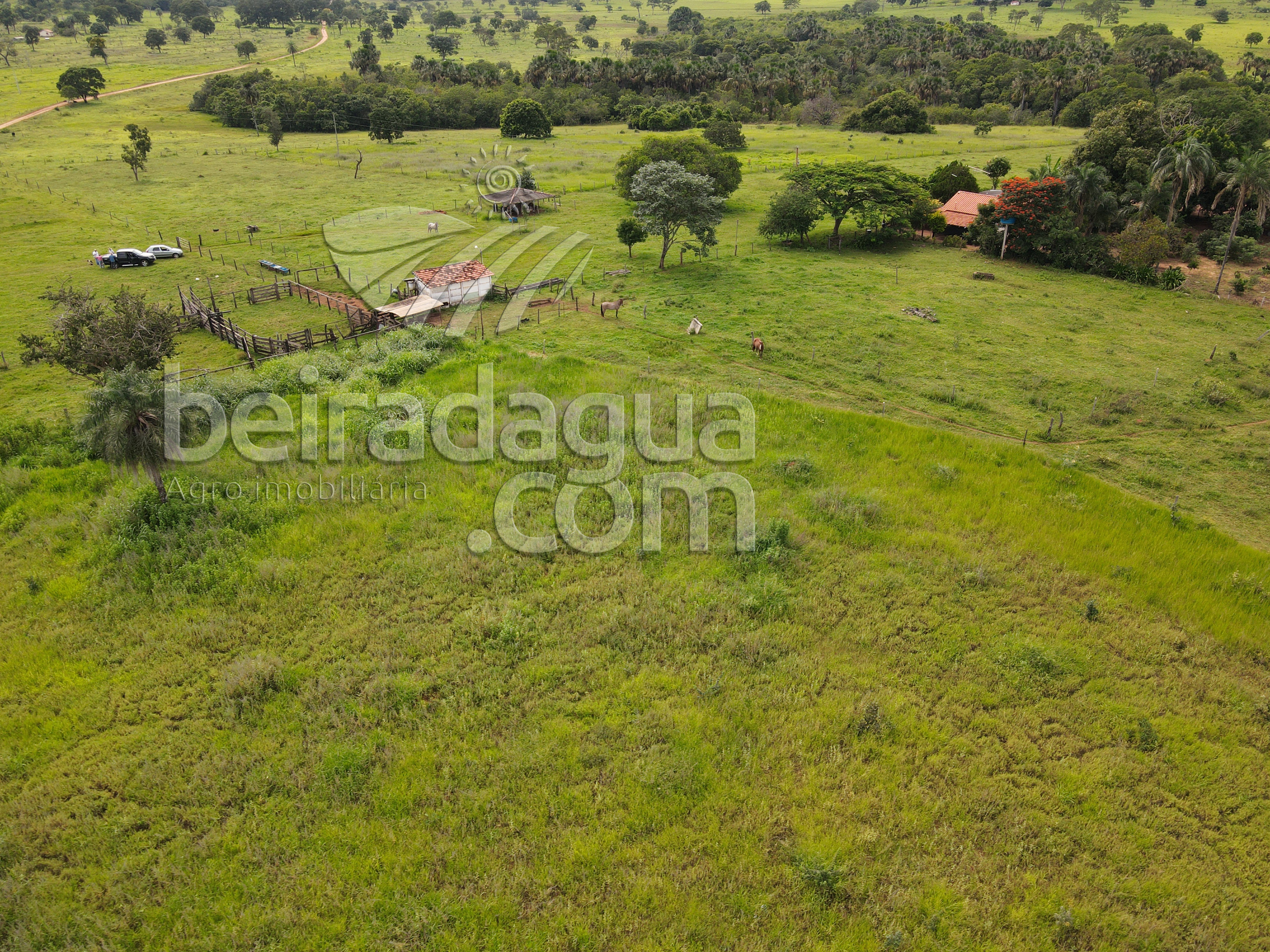 Fazenda para Comprar em Zona Rural - Campina Verde - MG