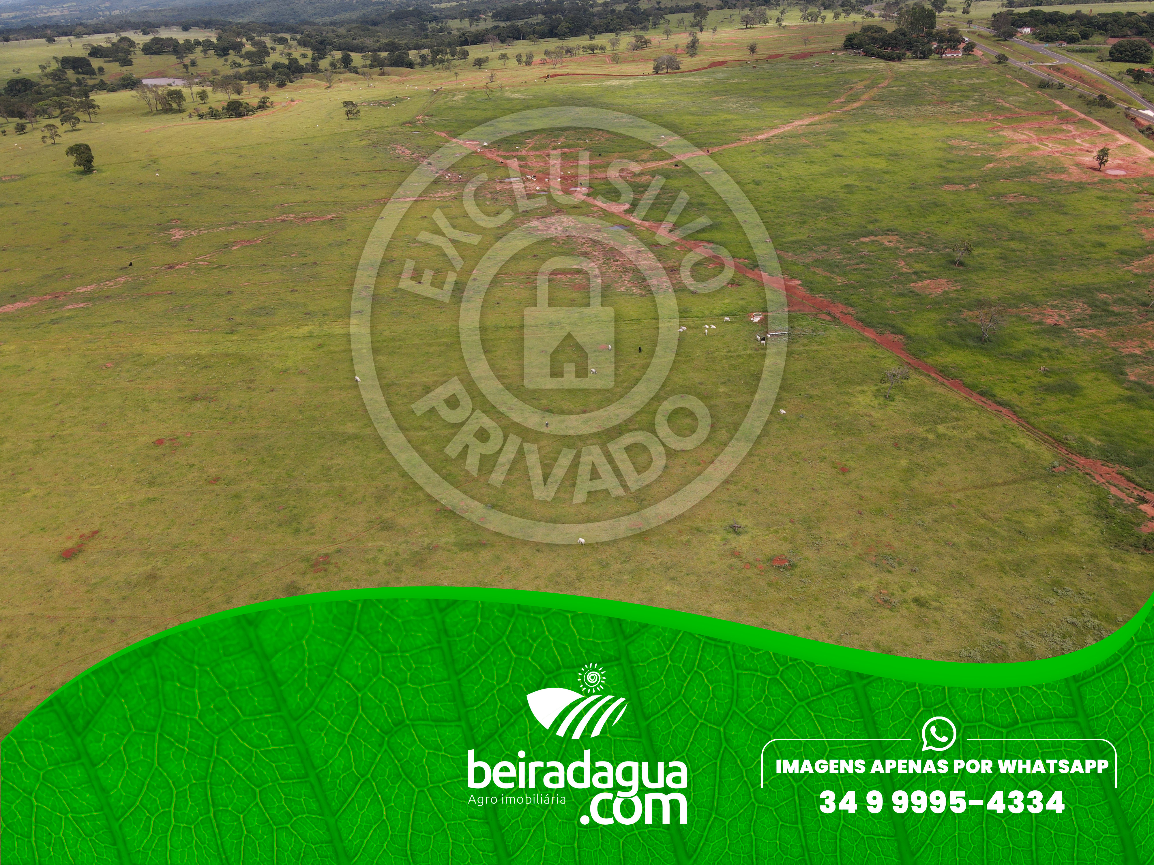 Fazenda para Comprar em Zona Rural - Campina Verde - MG