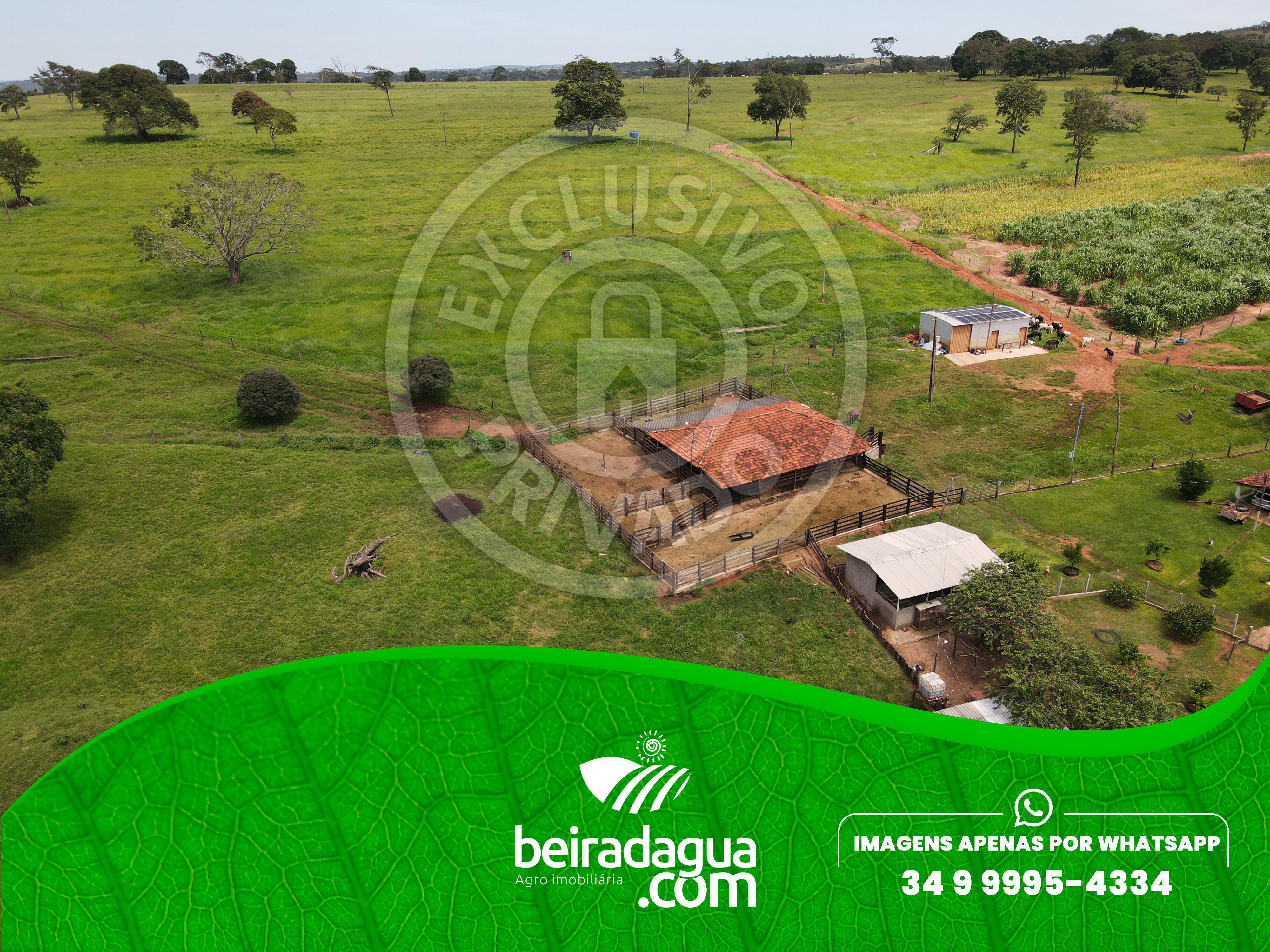 Fazenda para Comprar em Zona Rural - Campina Verde - MG