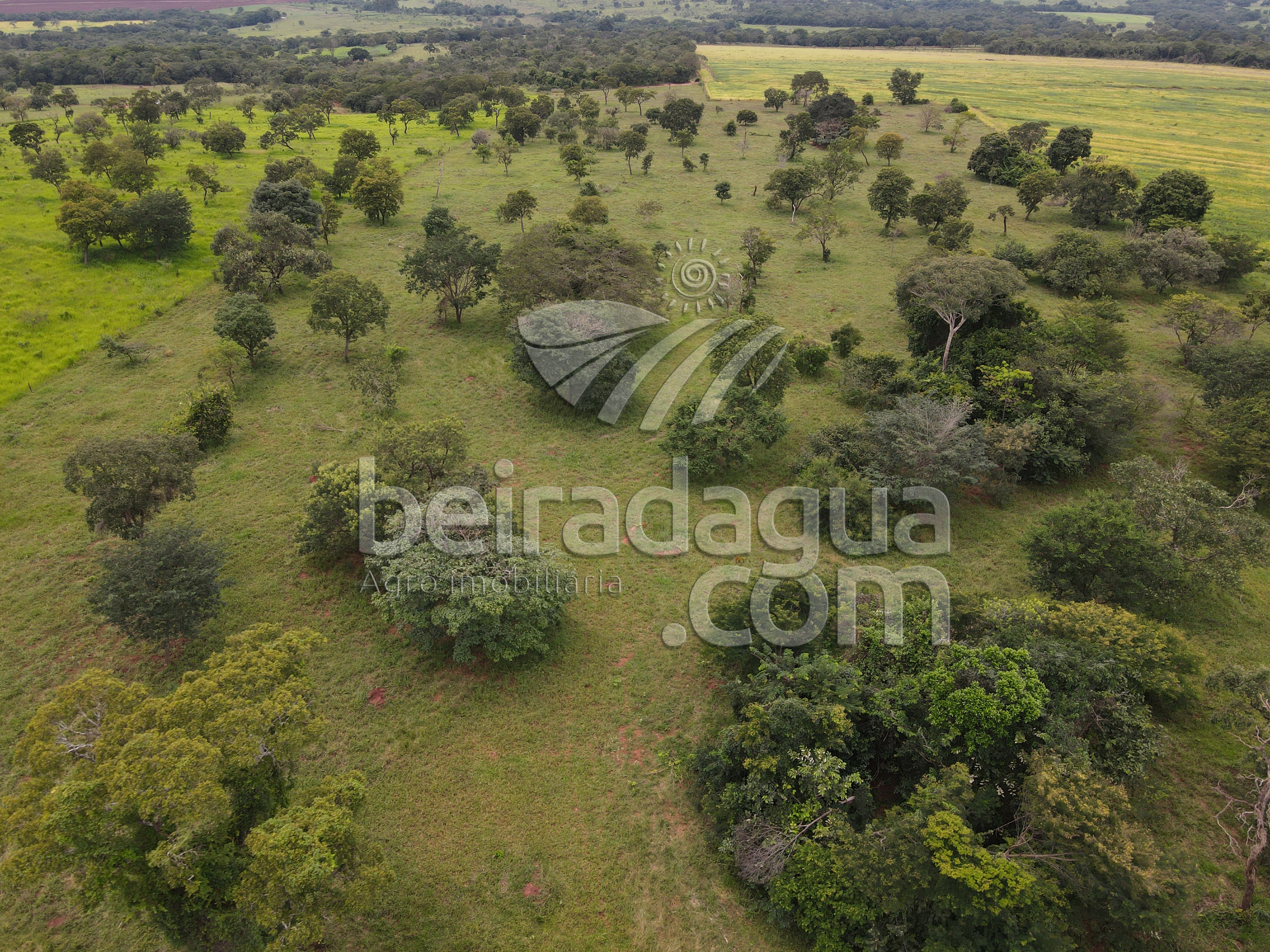 Fazenda para Comprar em Zona Rural - Campina Verde - MG