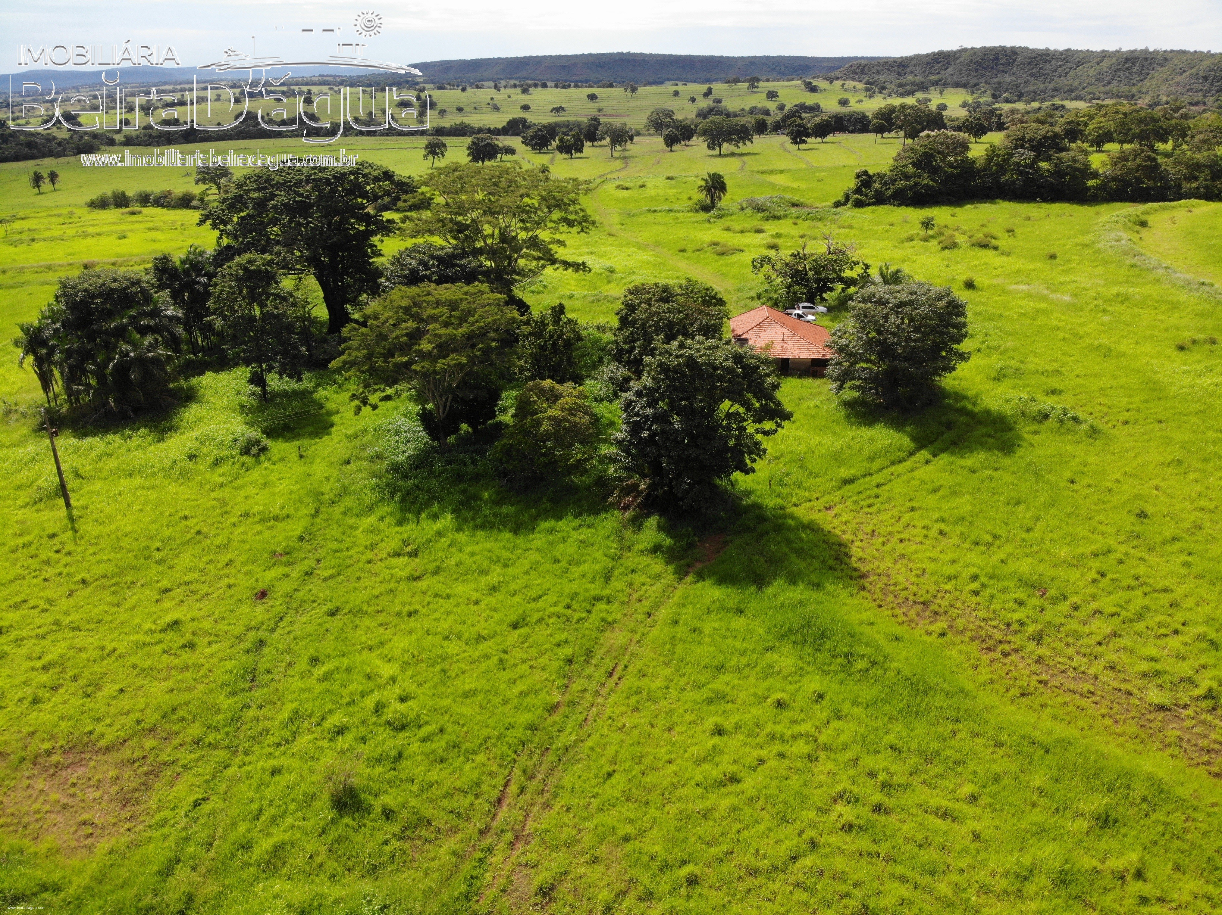 Fazenda para Comprar em Zona Rural - Gurinhatã - MG