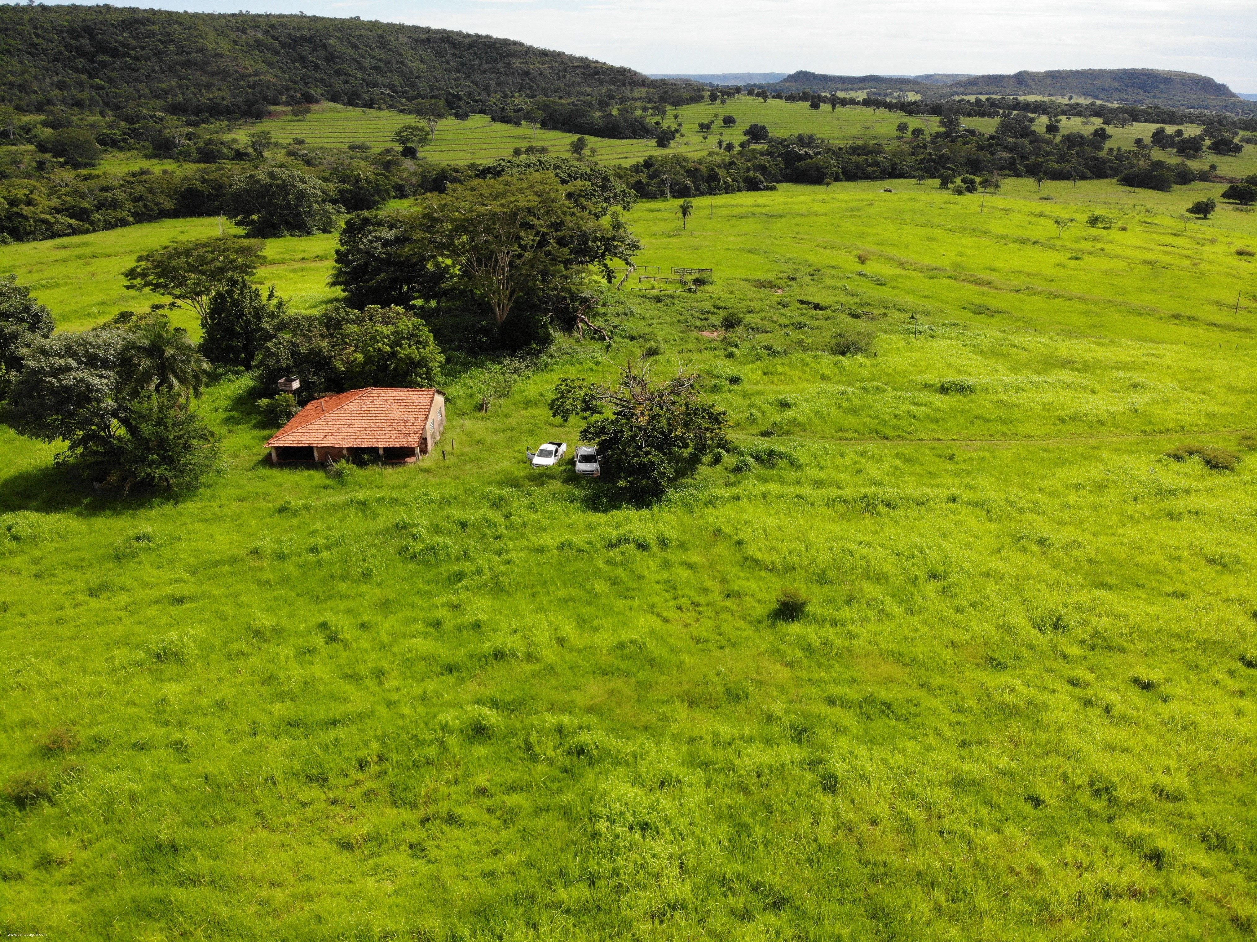 Fazenda para Comprar em Zona Rural - Gurinhatã - MG