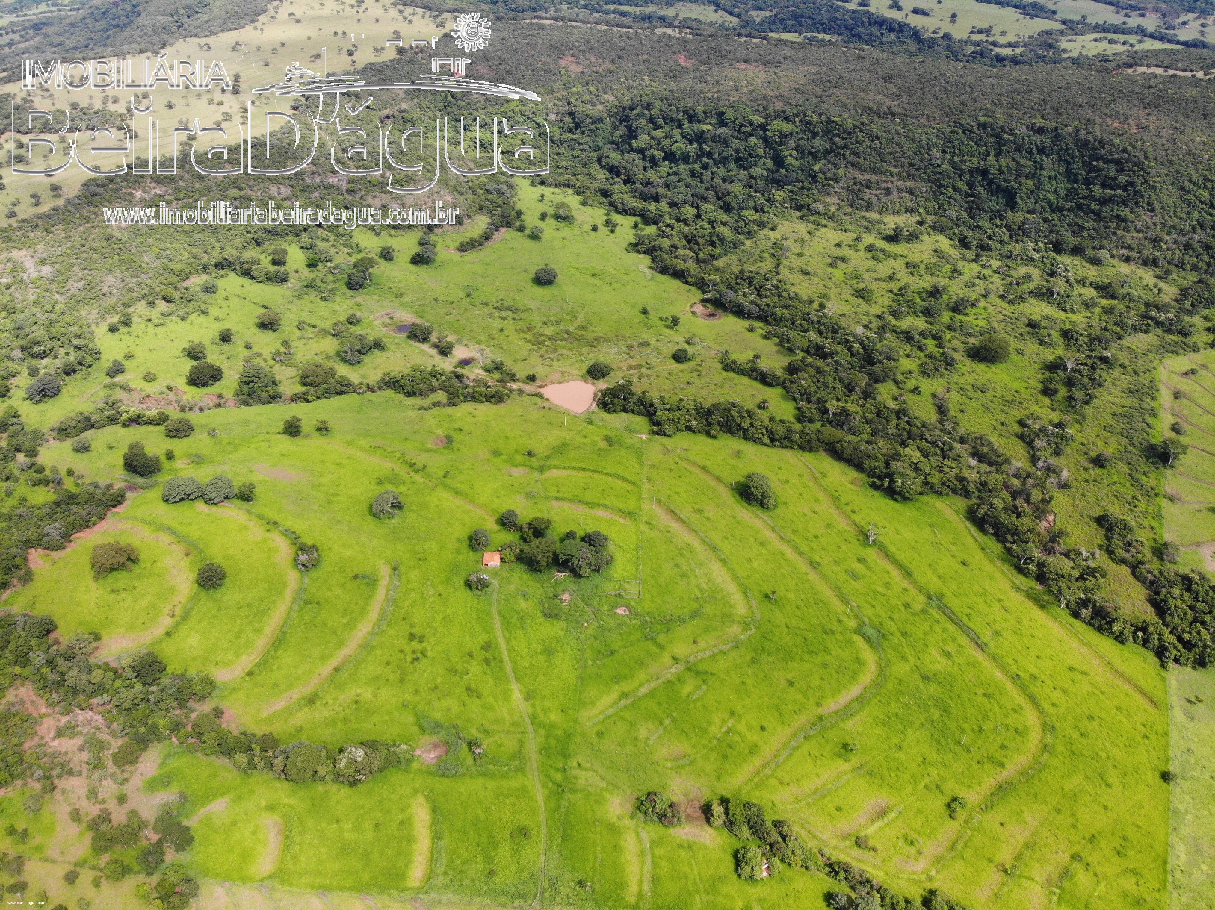 Fazenda para Comprar em Zona Rural - Gurinhatã - MG