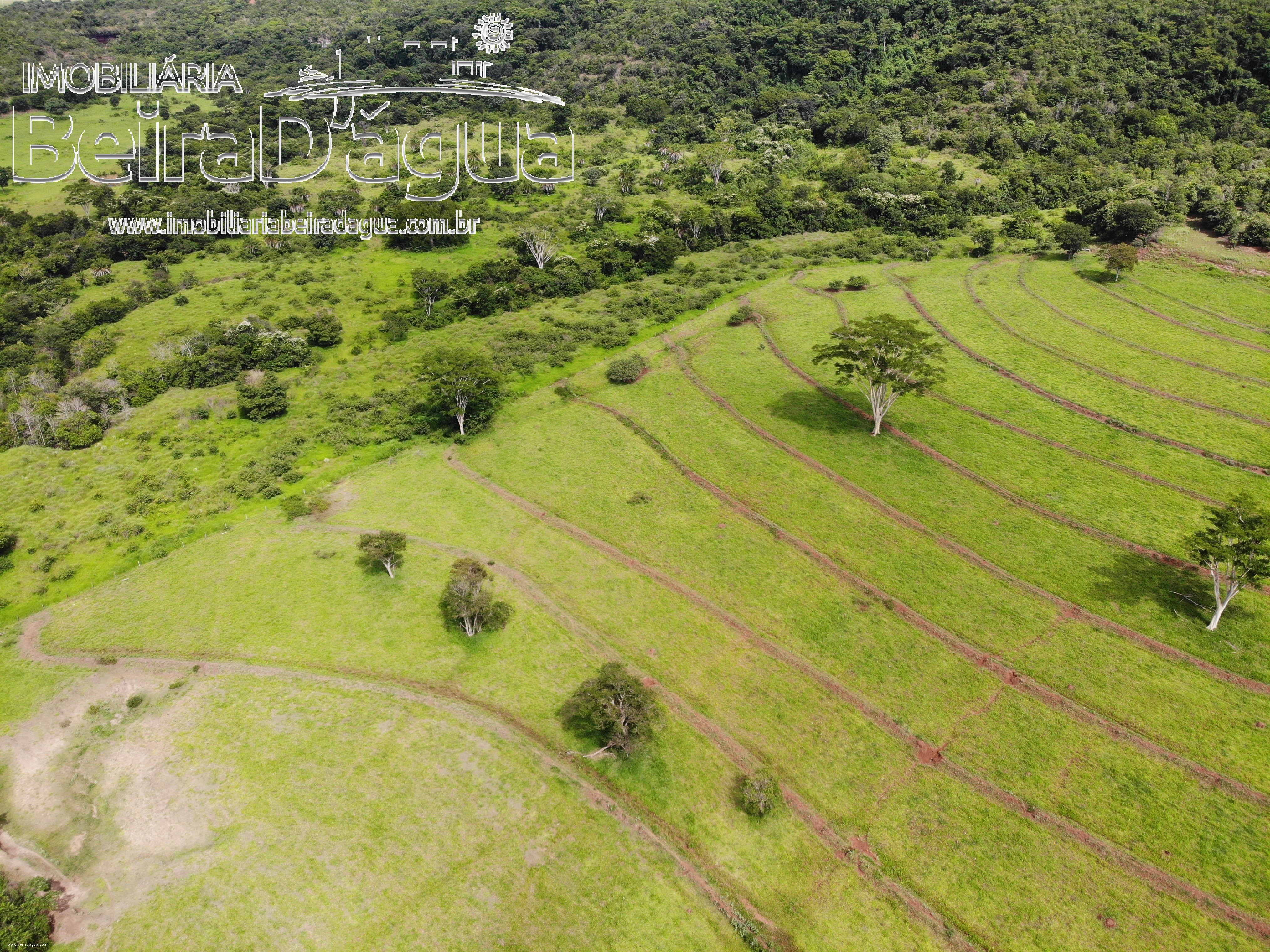 Fazenda para Comprar em Zona Rural - Gurinhatã - MG