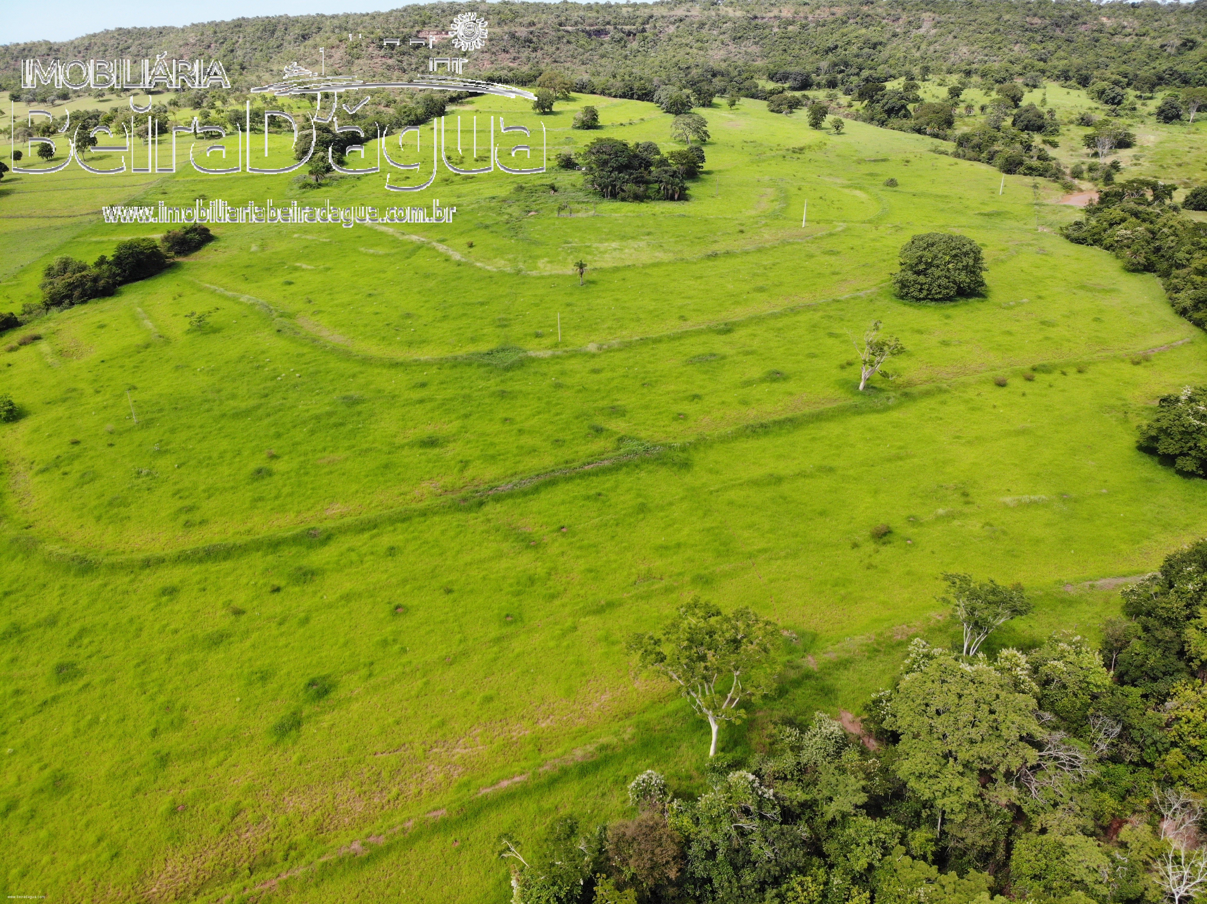 Fazenda para Comprar em Zona Rural - Gurinhatã - MG