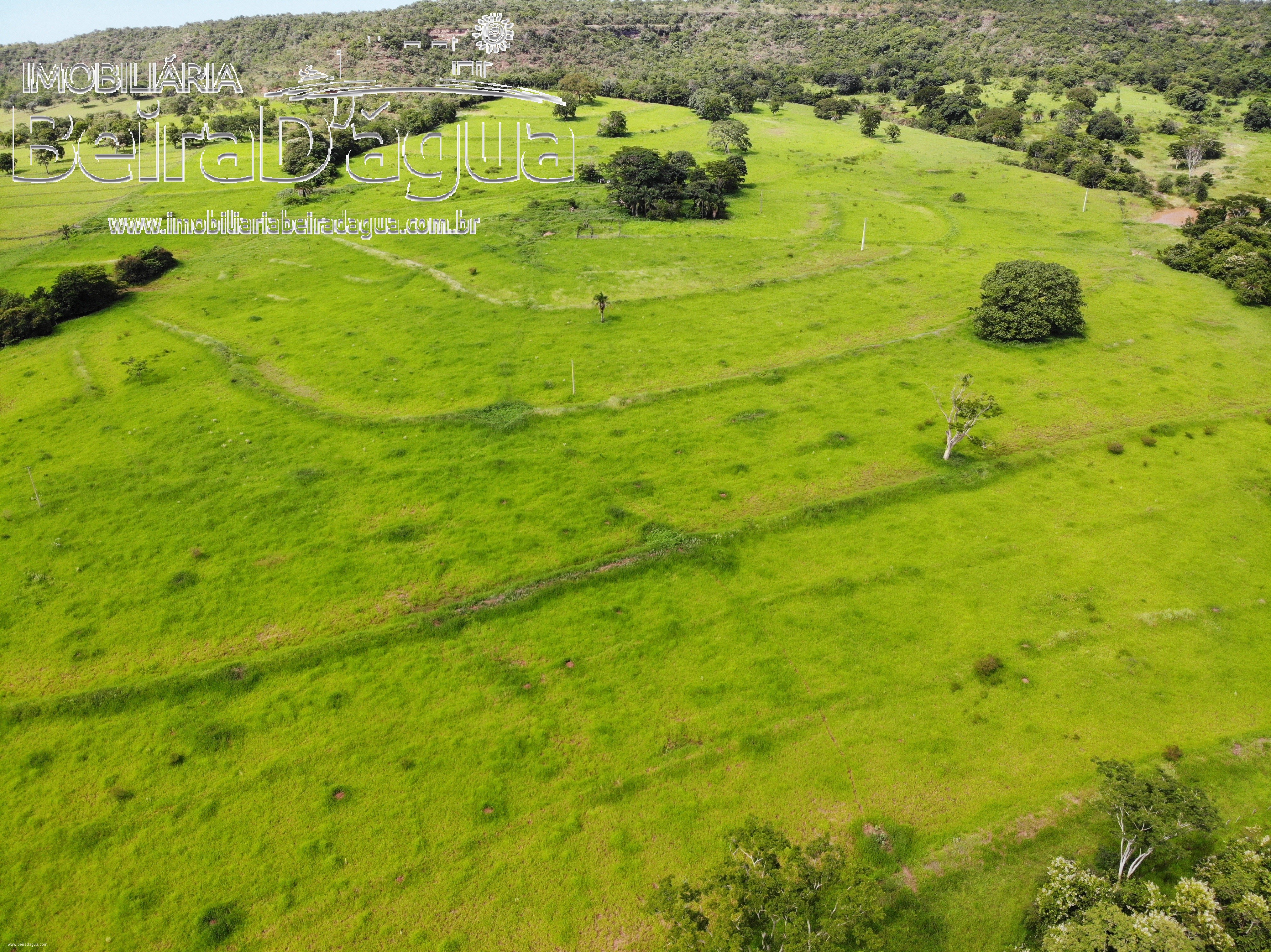 Fazenda para Comprar em Zona Rural - Gurinhatã - MG