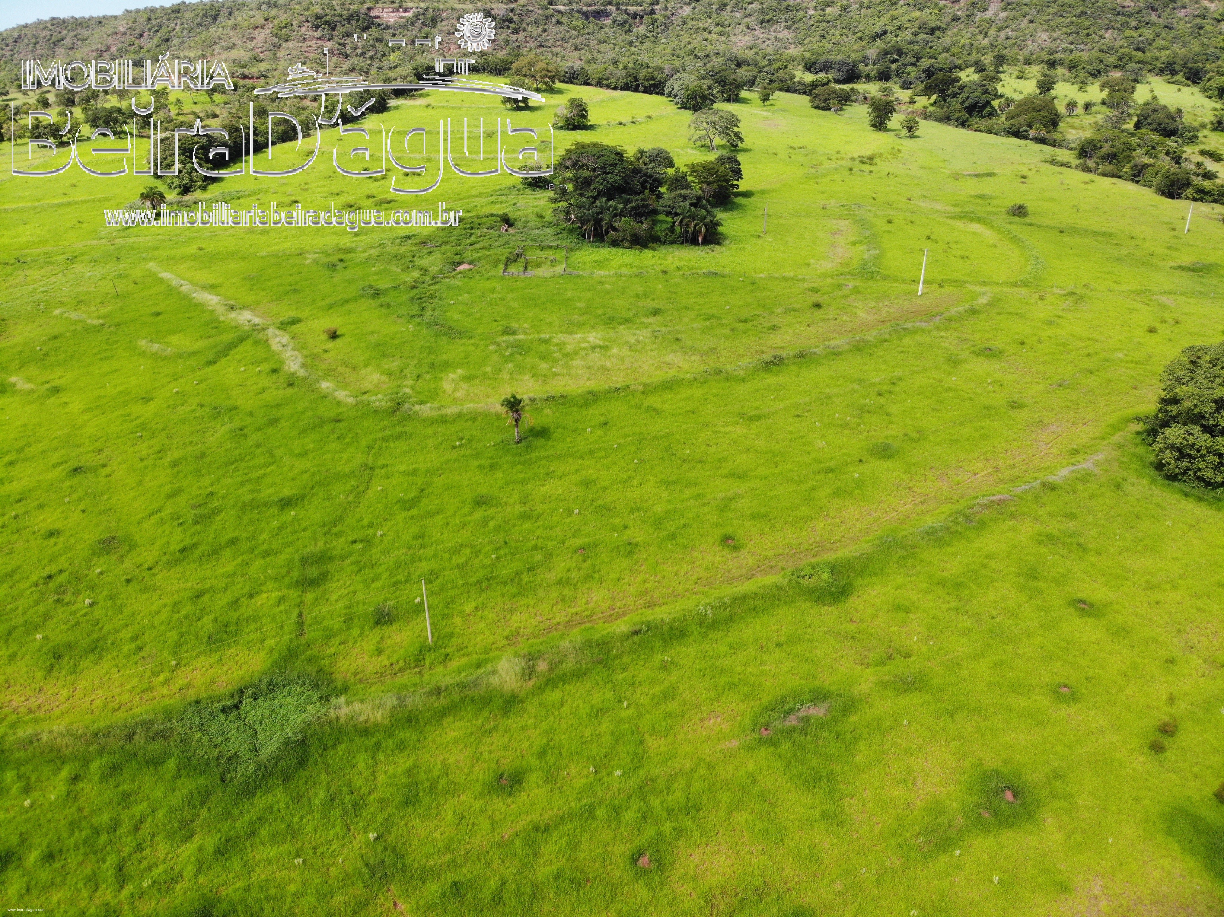 Fazenda para Comprar em Zona Rural - Gurinhatã - MG