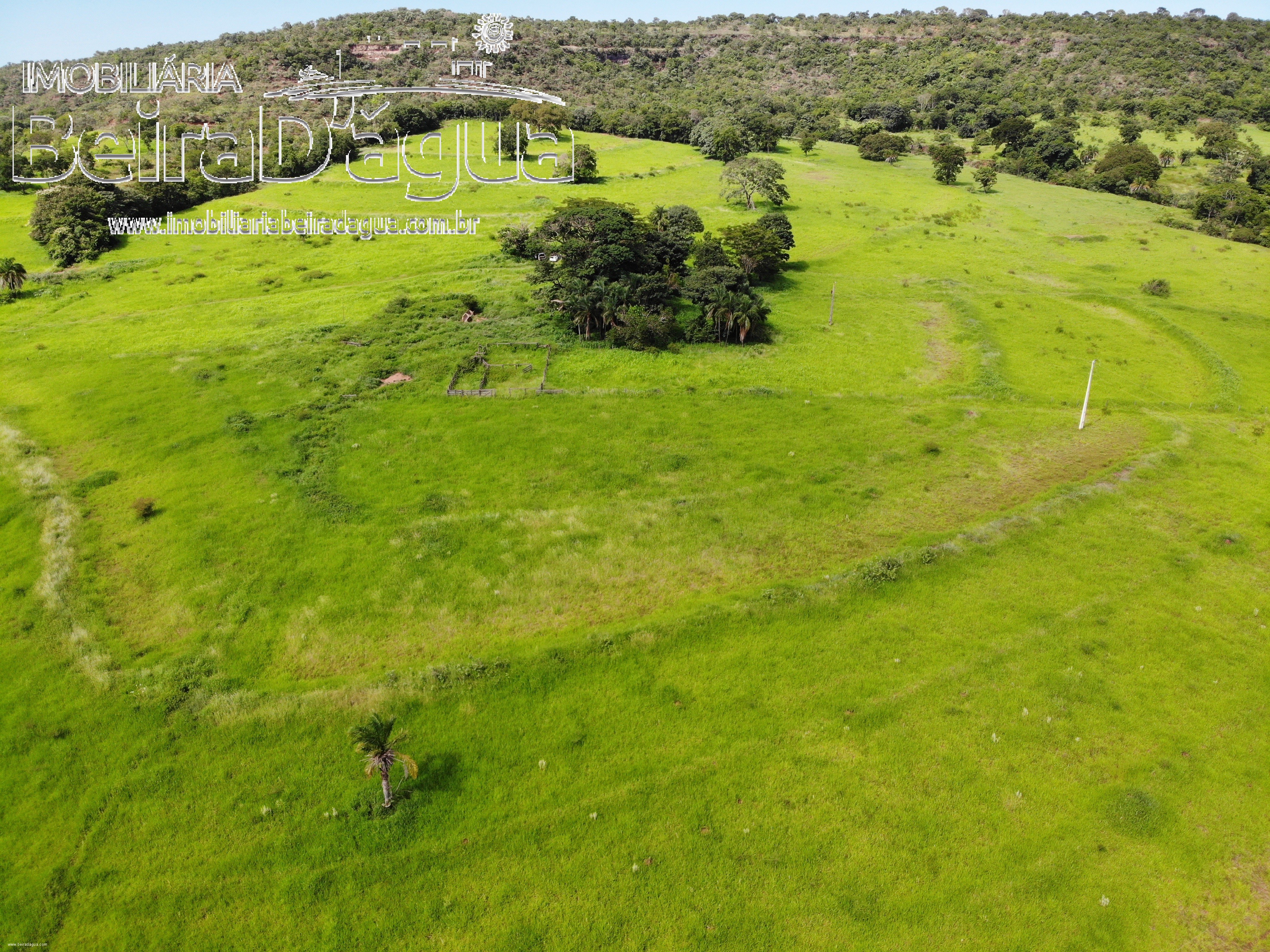 Fazenda para Comprar em Zona Rural - Gurinhatã - MG
