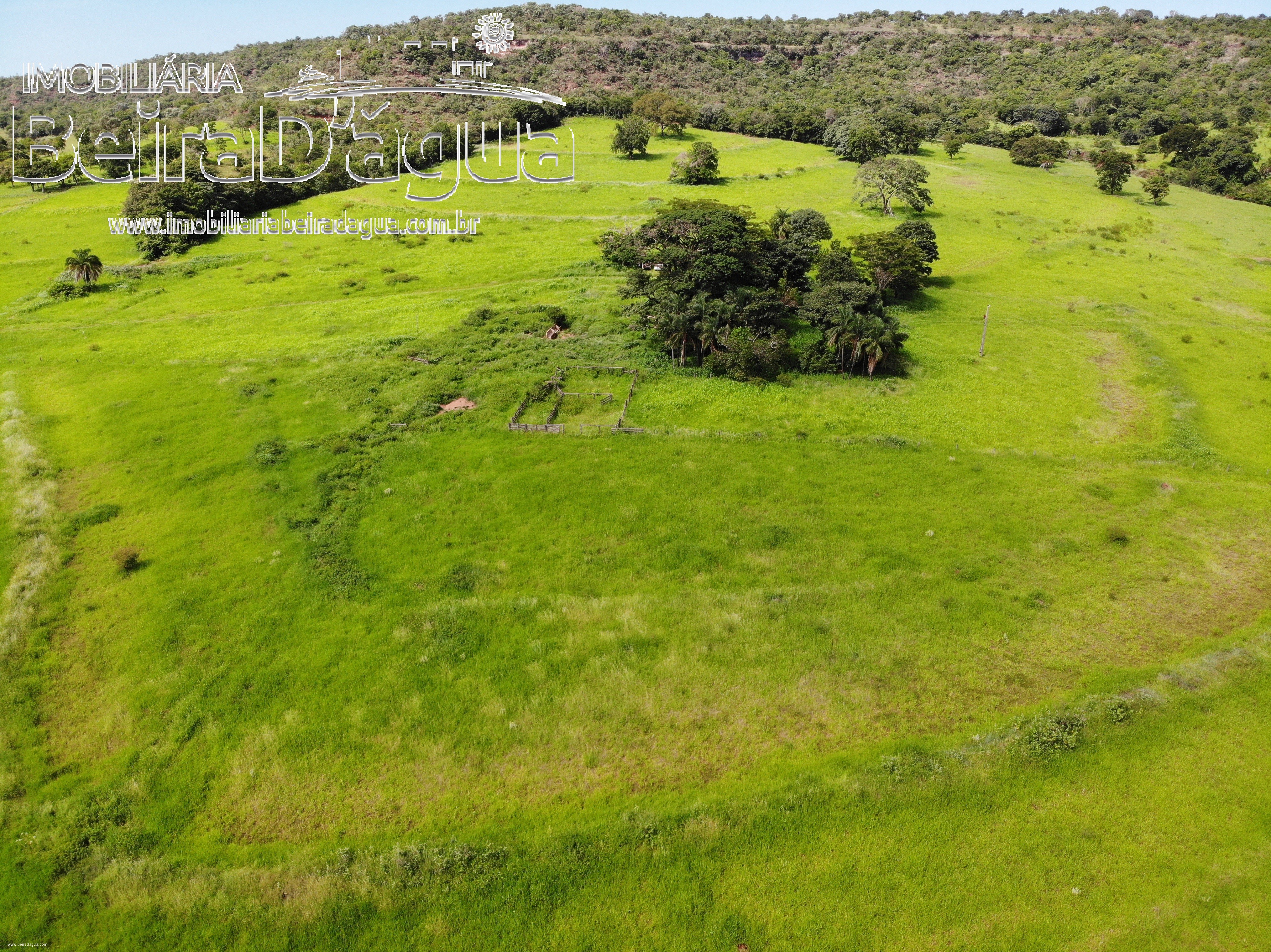 Fazenda para Comprar em Zona Rural - Gurinhatã - MG