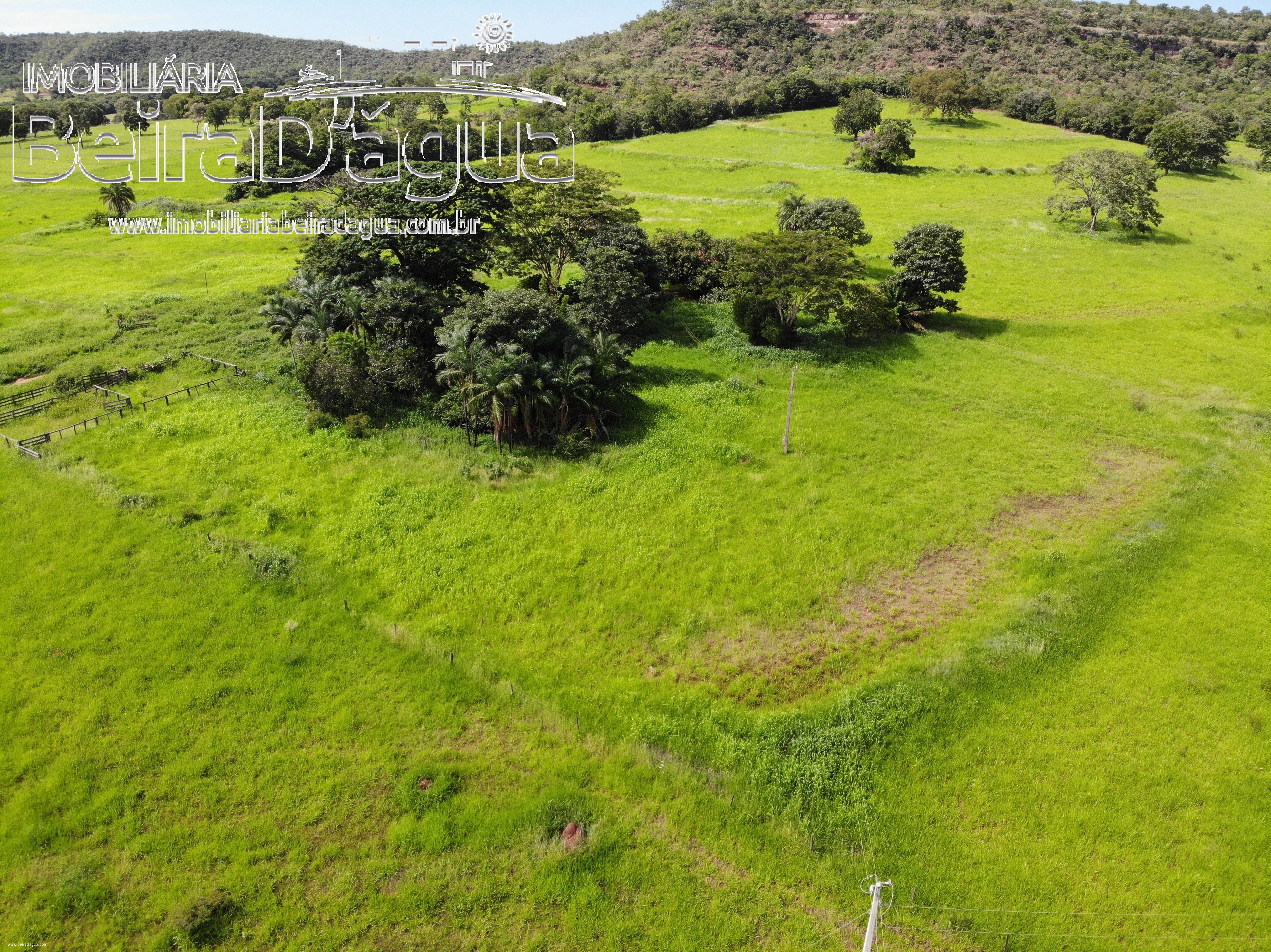 Fazenda para Comprar em Zona Rural - Gurinhatã - MG