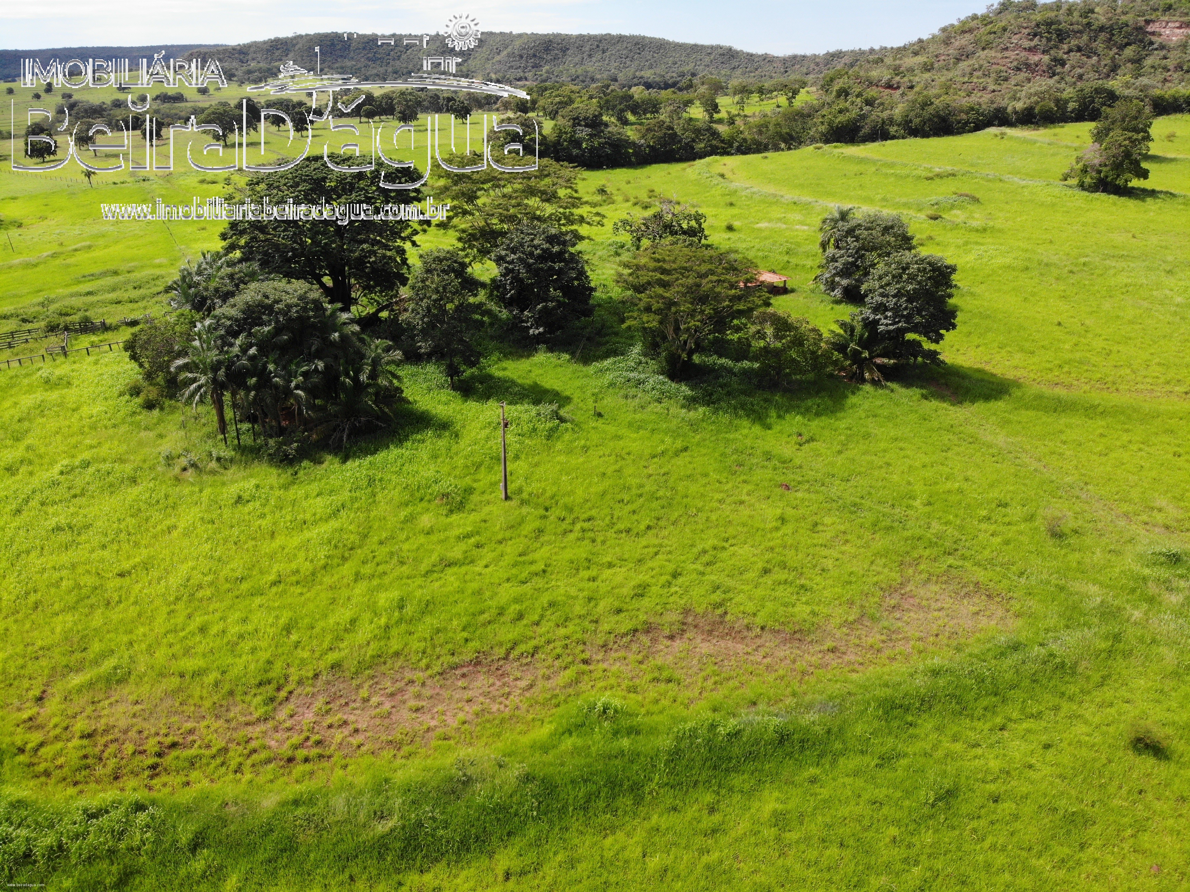 Fazenda para Comprar em Zona Rural - Gurinhatã - MG