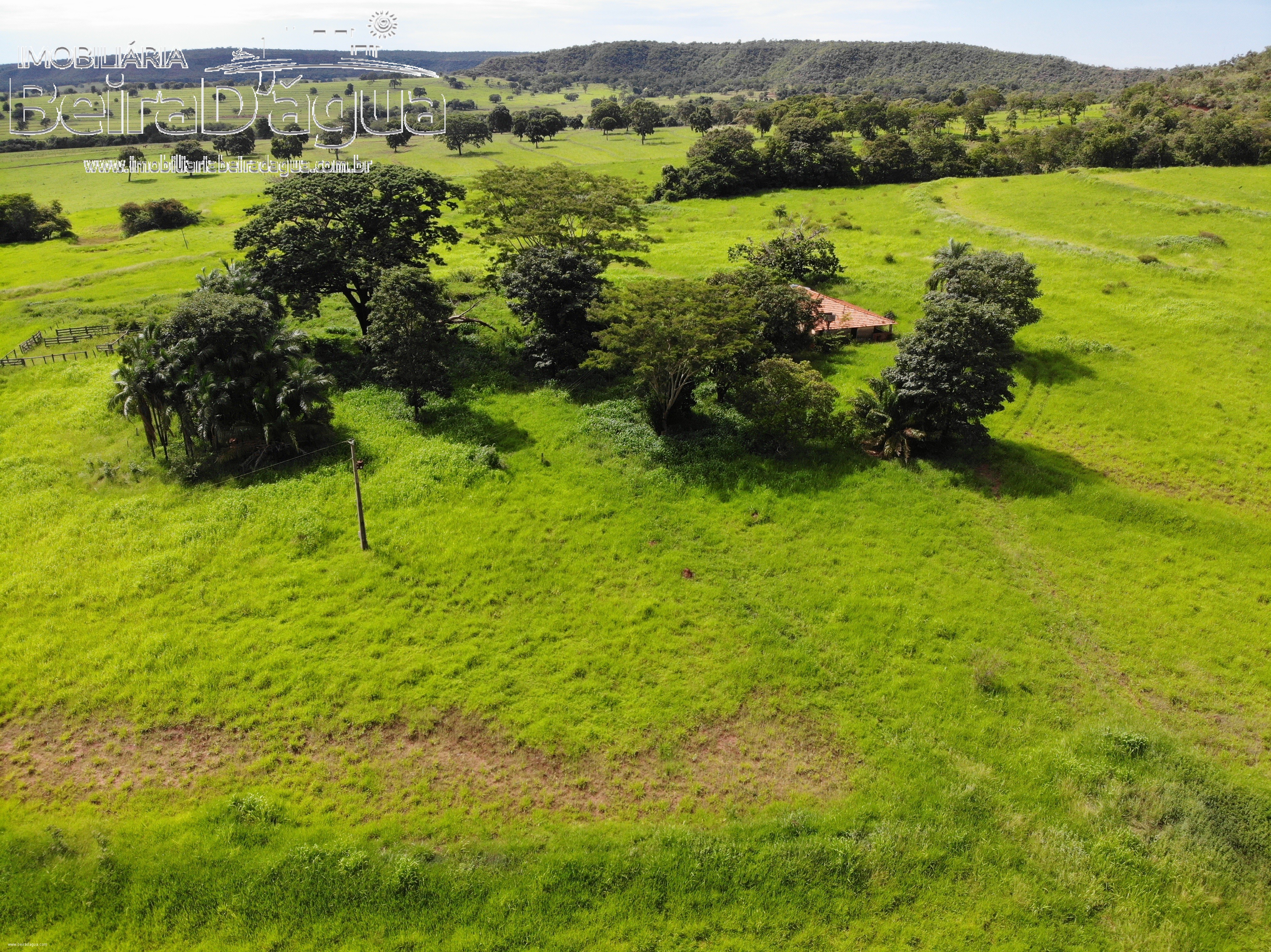 Fazenda para Comprar em Zona Rural - Gurinhatã - MG