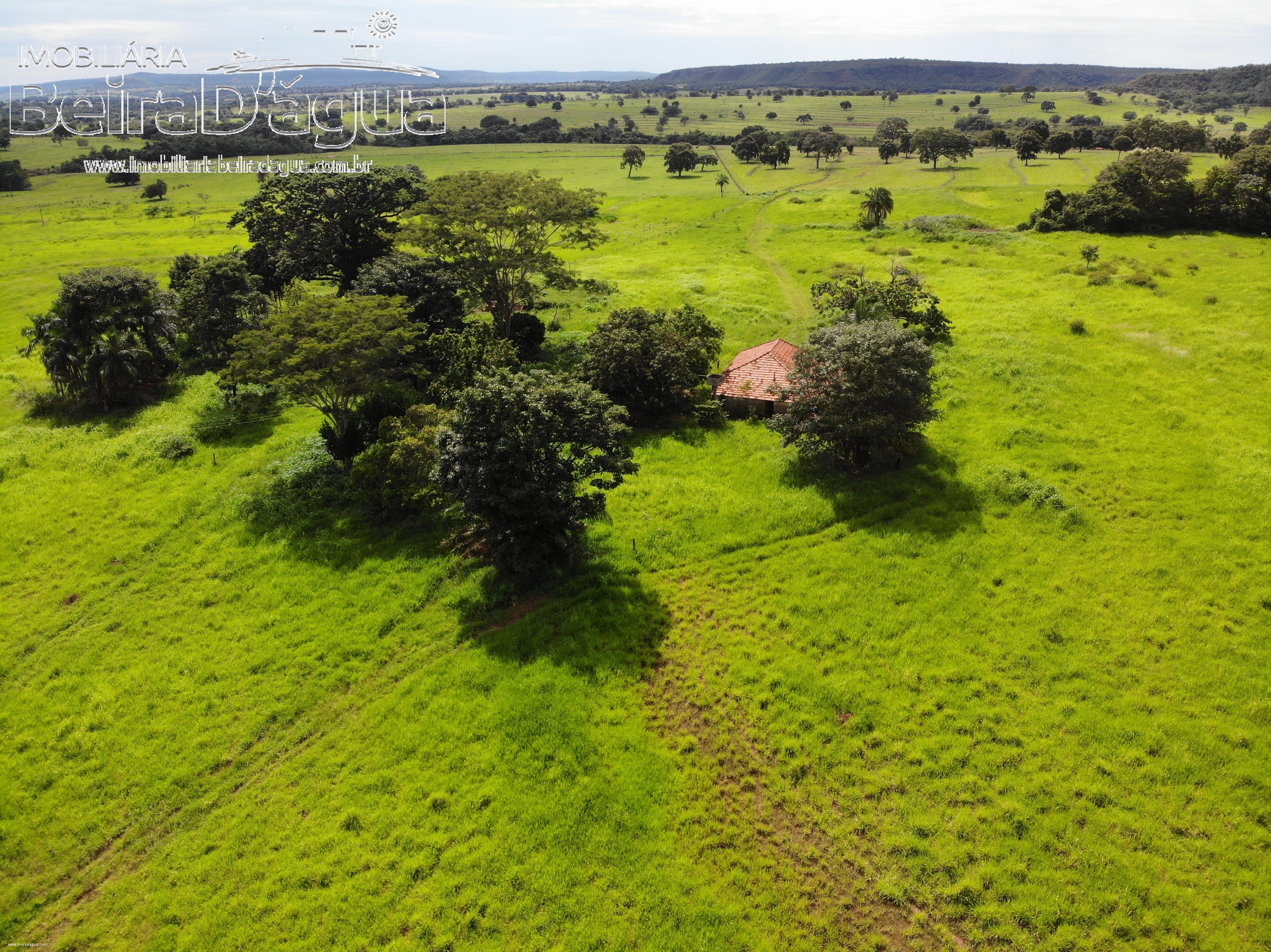 Fazenda para Comprar em Zona Rural - Gurinhatã - MG
