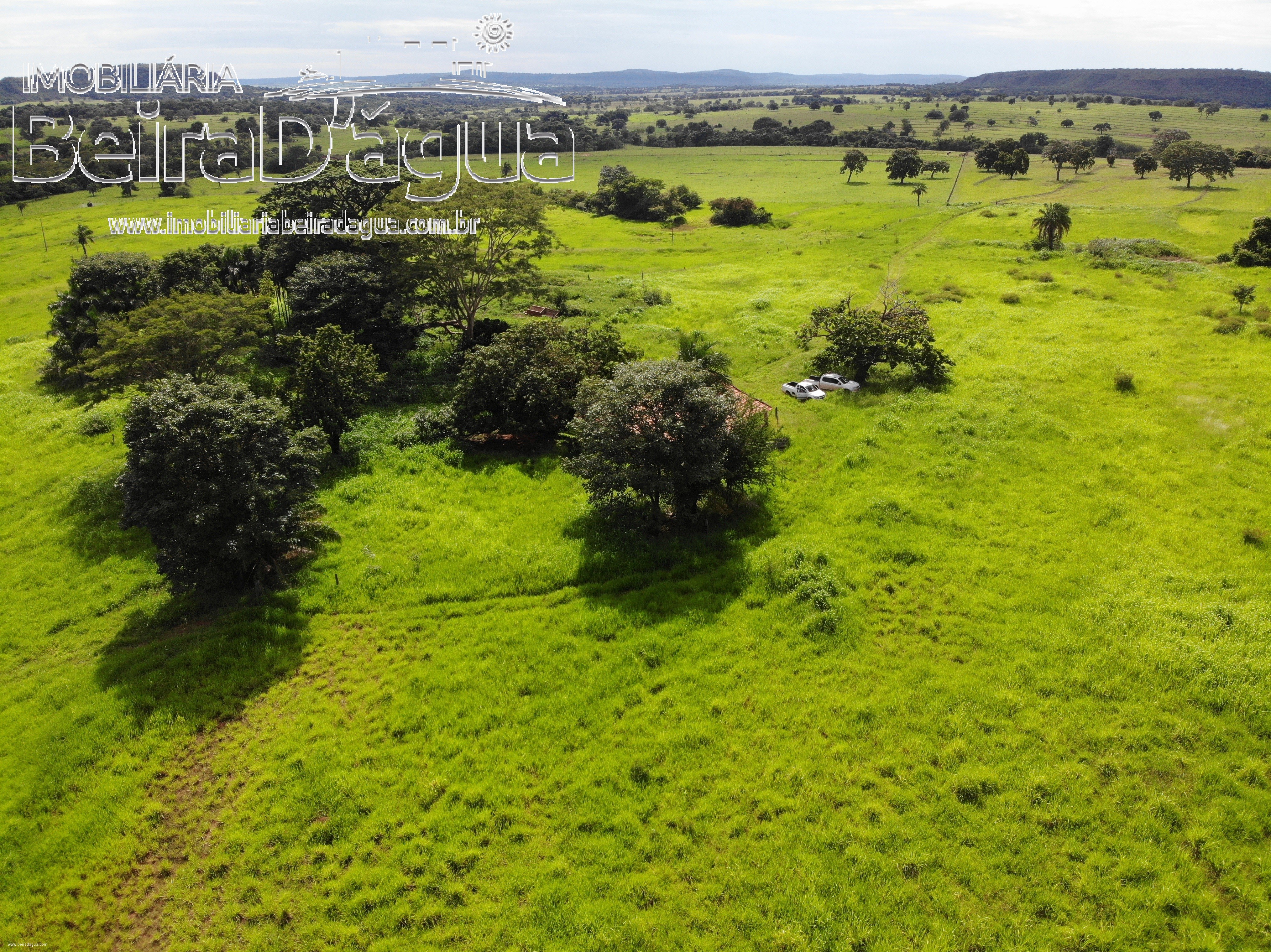 Fazenda para Comprar em Zona Rural - Gurinhatã - MG