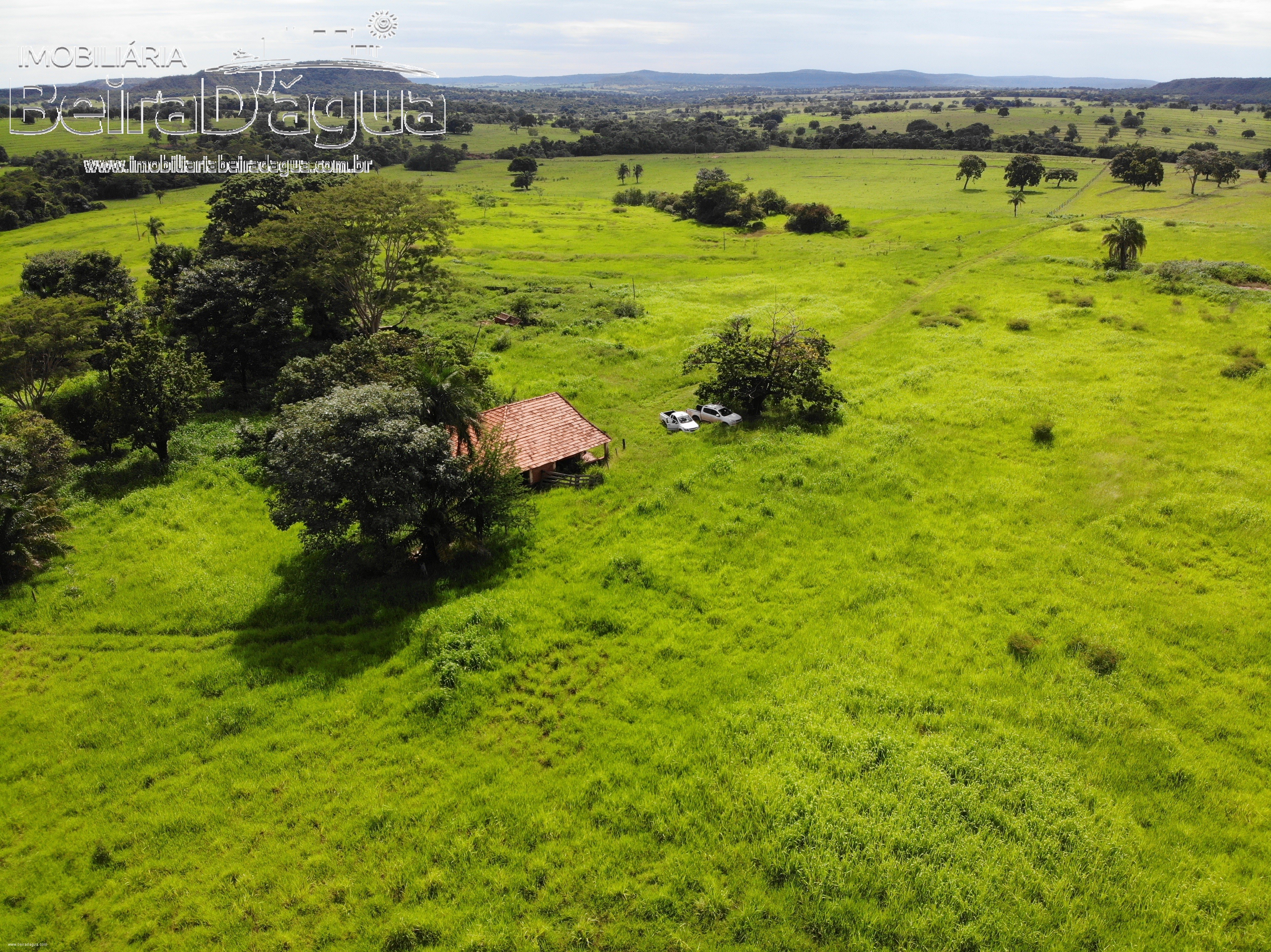 Fazenda para Comprar em Zona Rural - Gurinhatã - MG