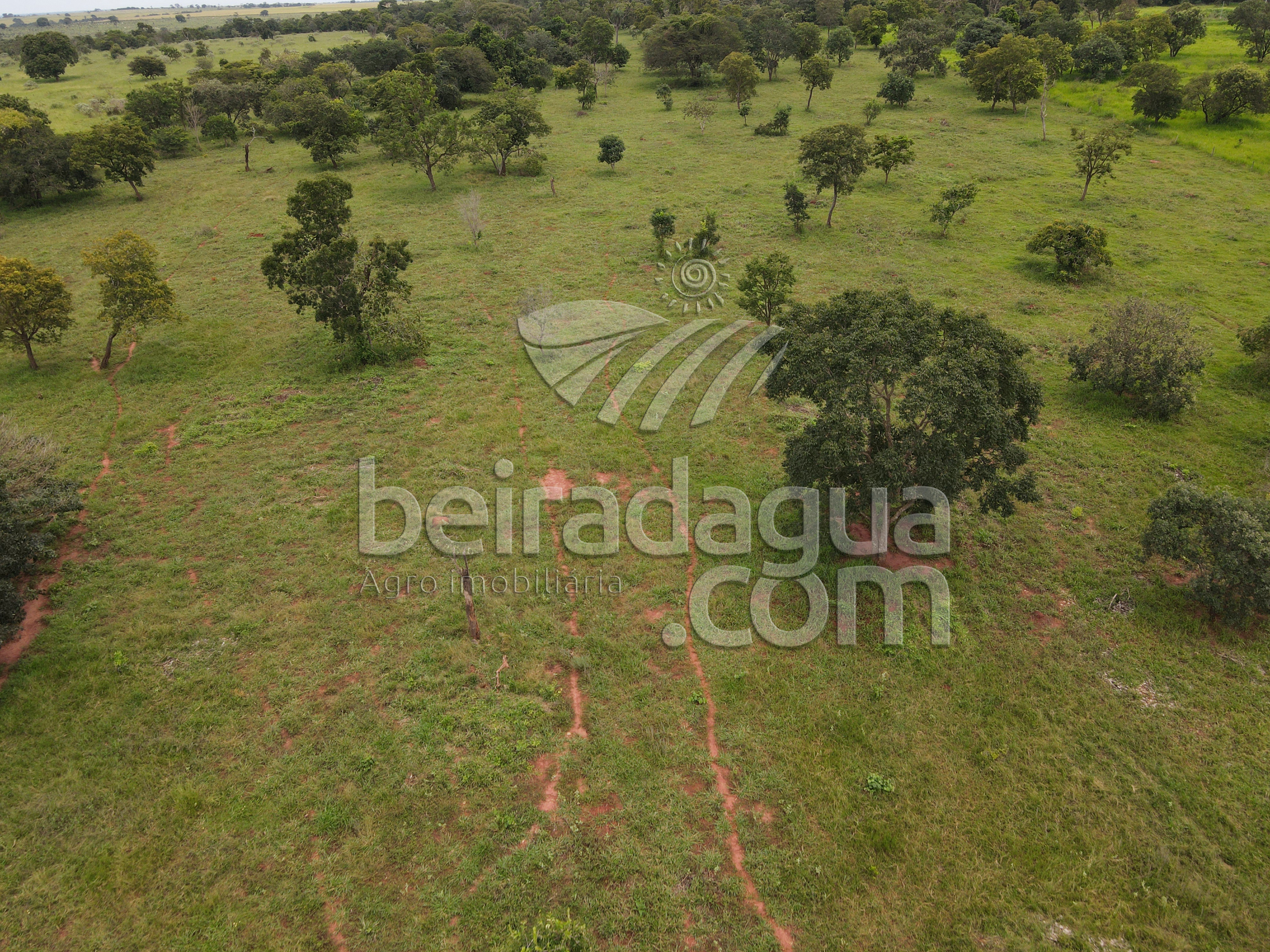 Fazenda para Comprar em Zona Rural - Campina Verde - MG