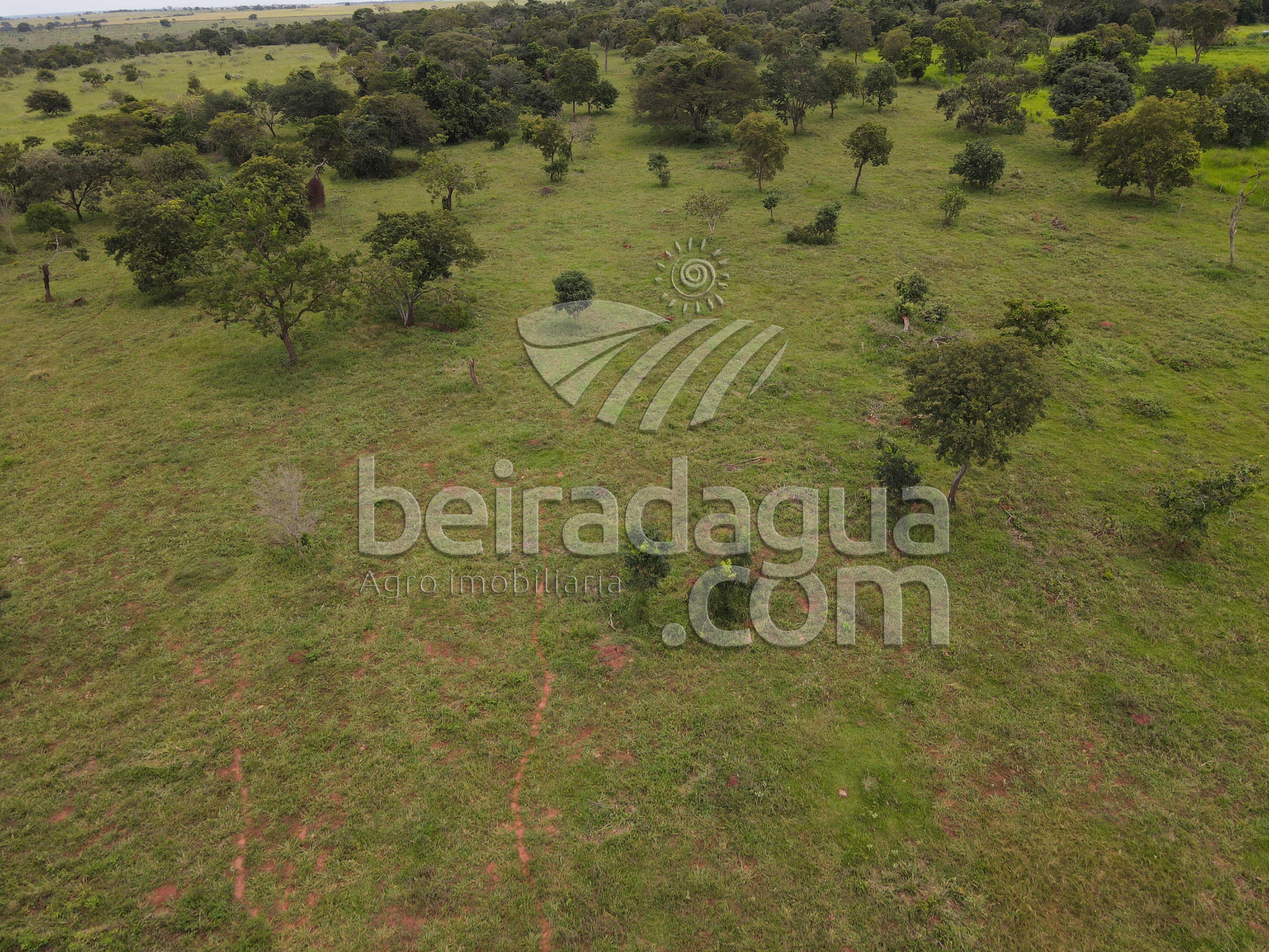 Fazenda para Comprar em Zona Rural - Campina Verde - MG