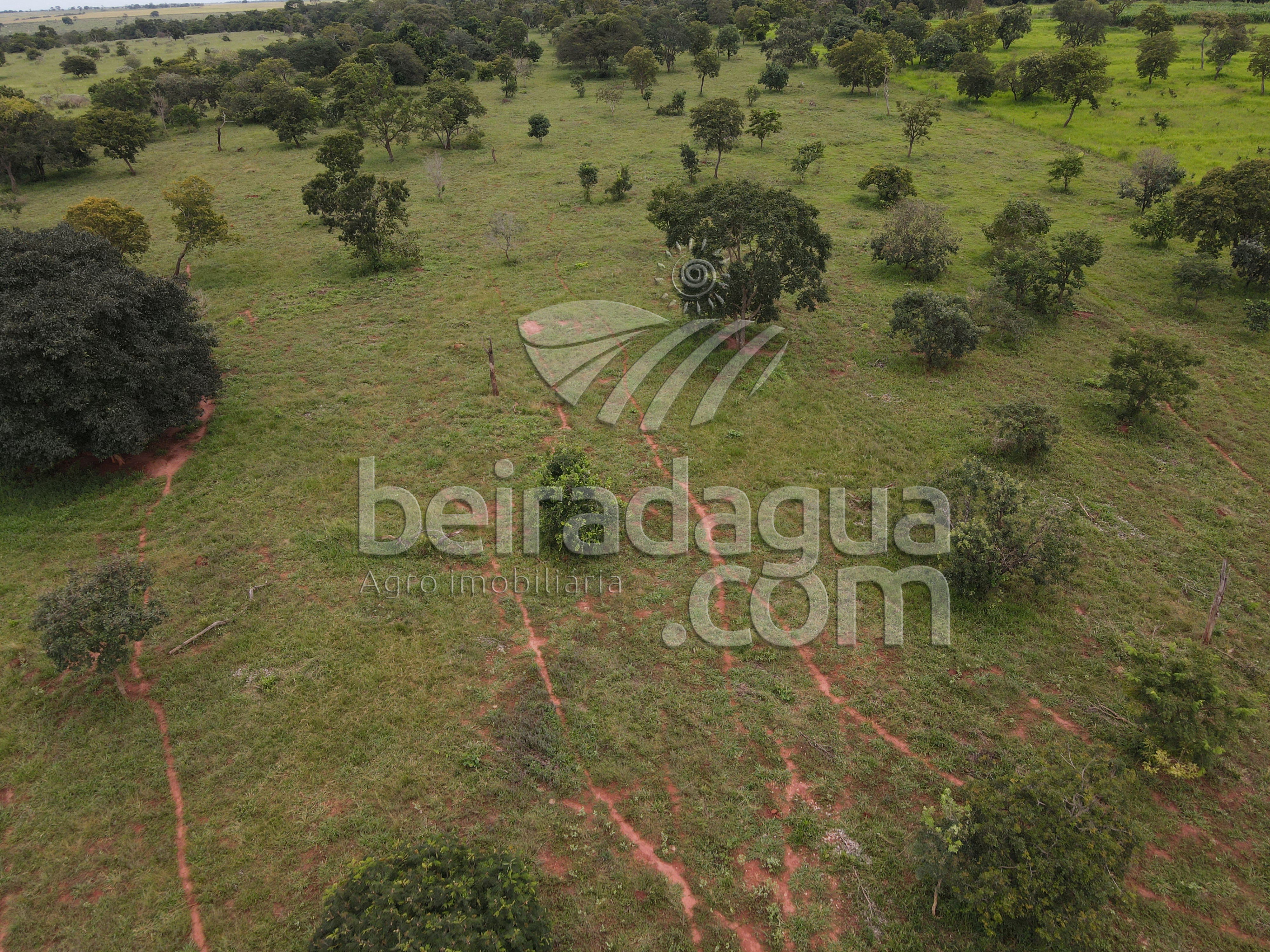 Fazenda para Comprar em Zona Rural - Campina Verde - MG