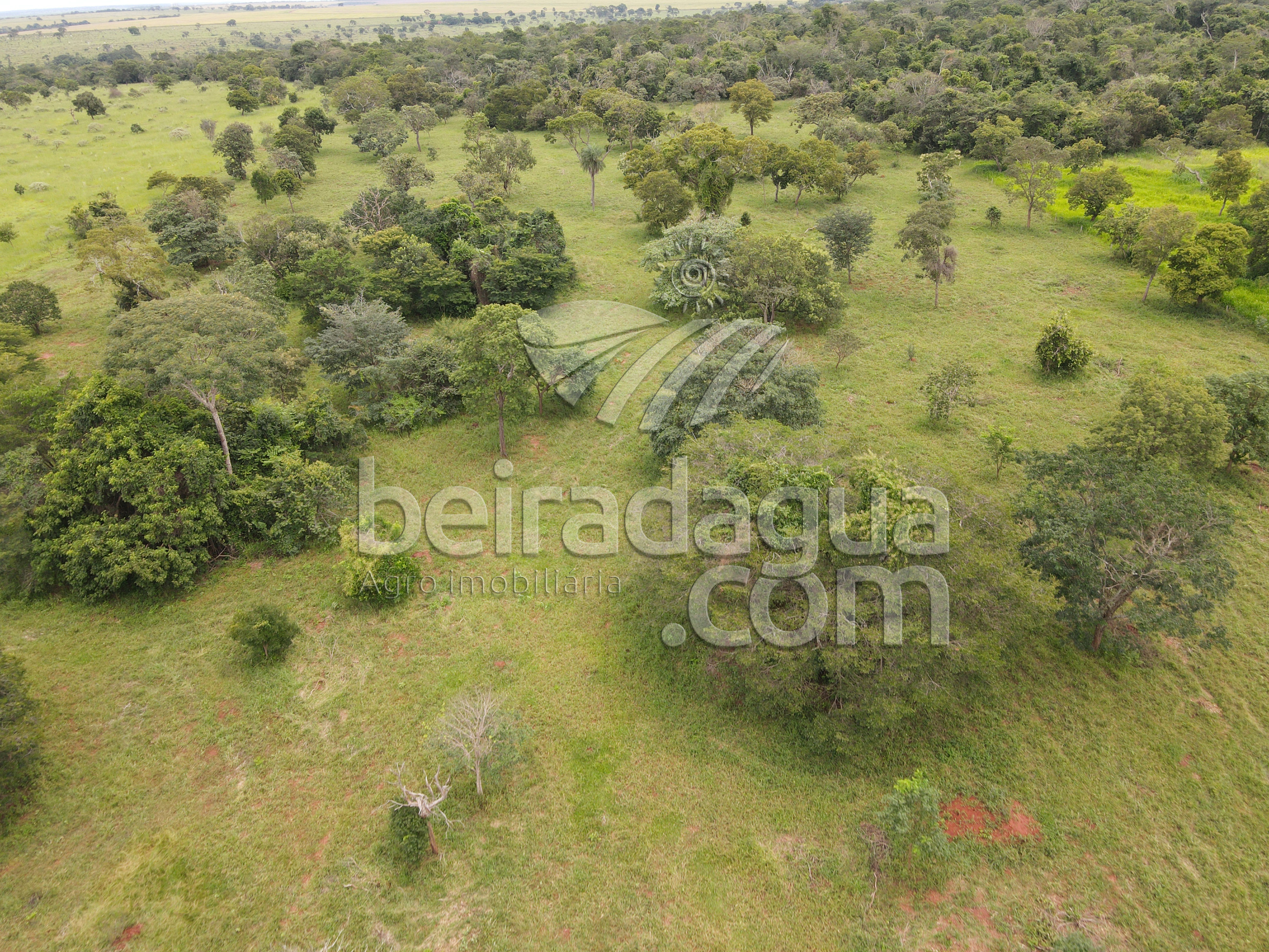Fazenda para Comprar em Zona Rural - Campina Verde - MG