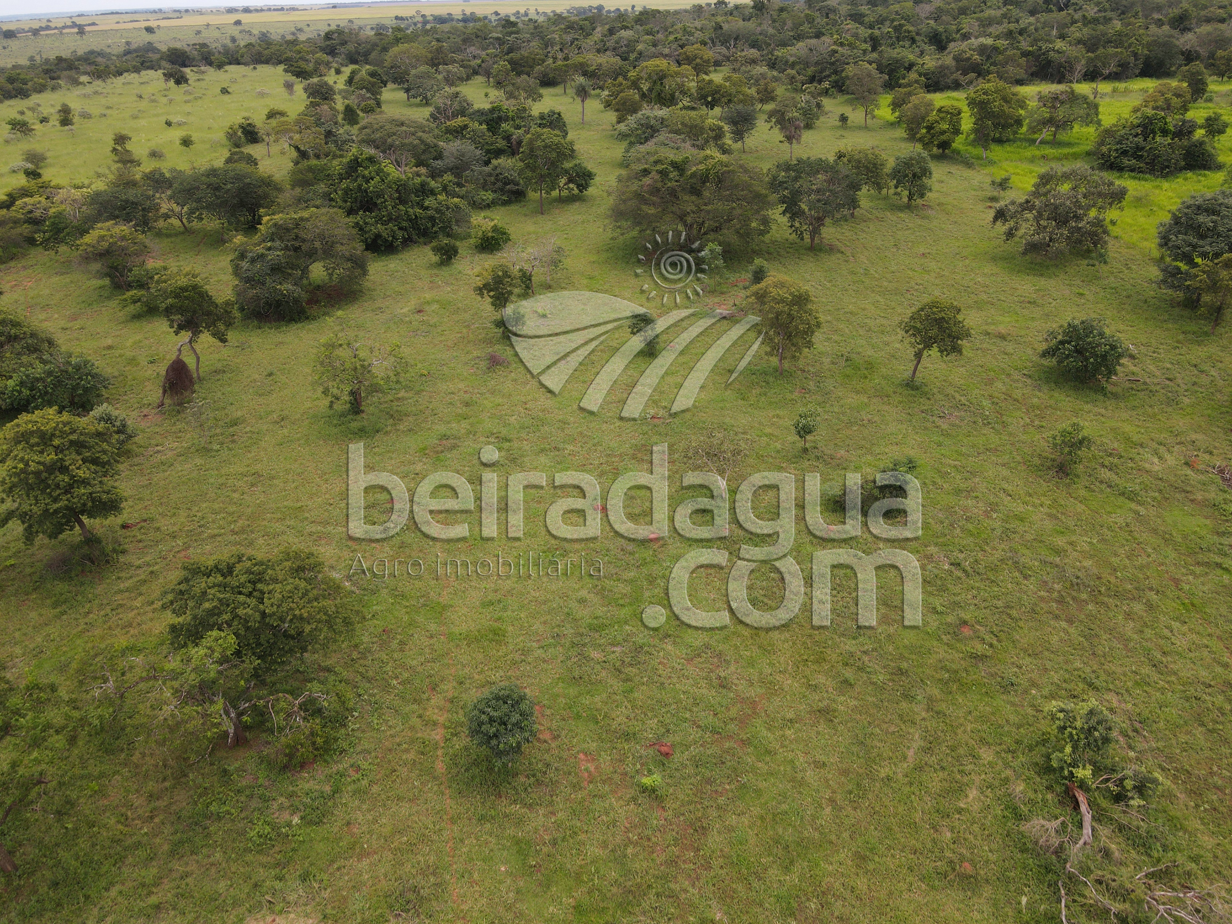 Fazenda para Comprar em Zona Rural - Campina Verde - MG