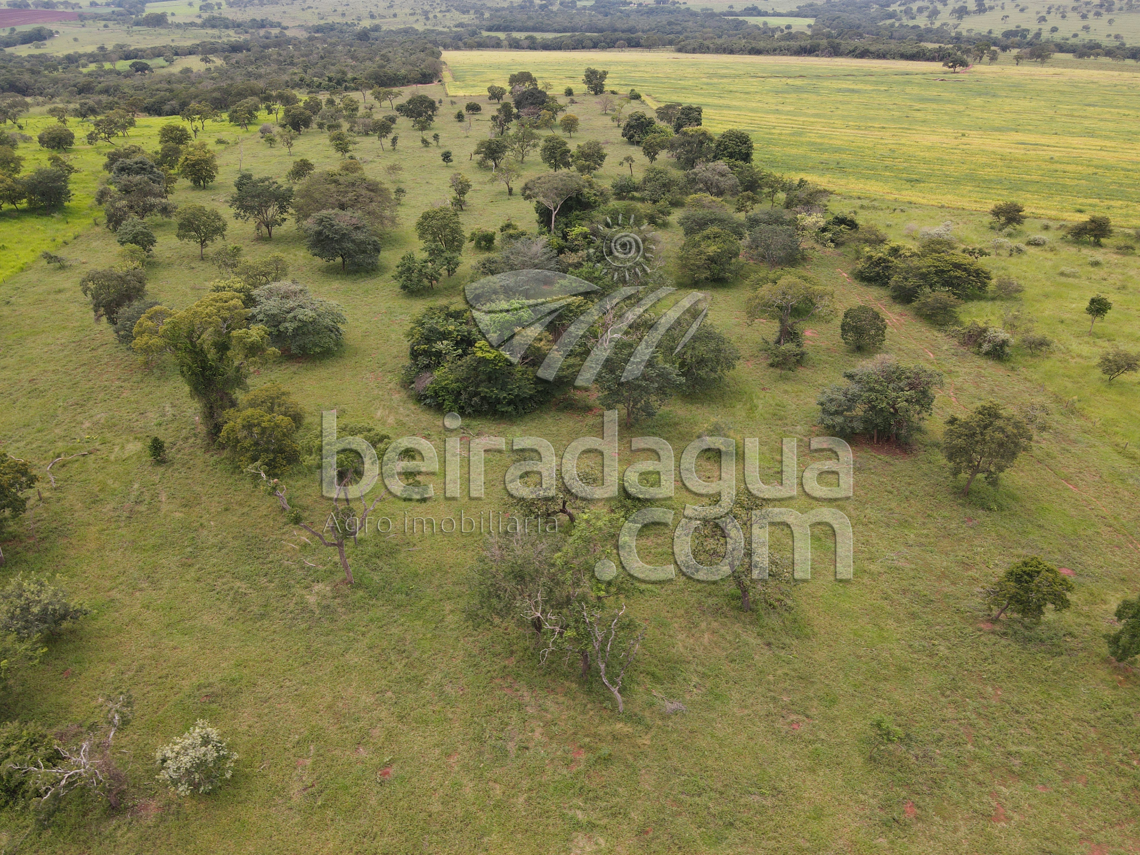 Fazenda para Comprar em Zona Rural - Campina Verde - MG