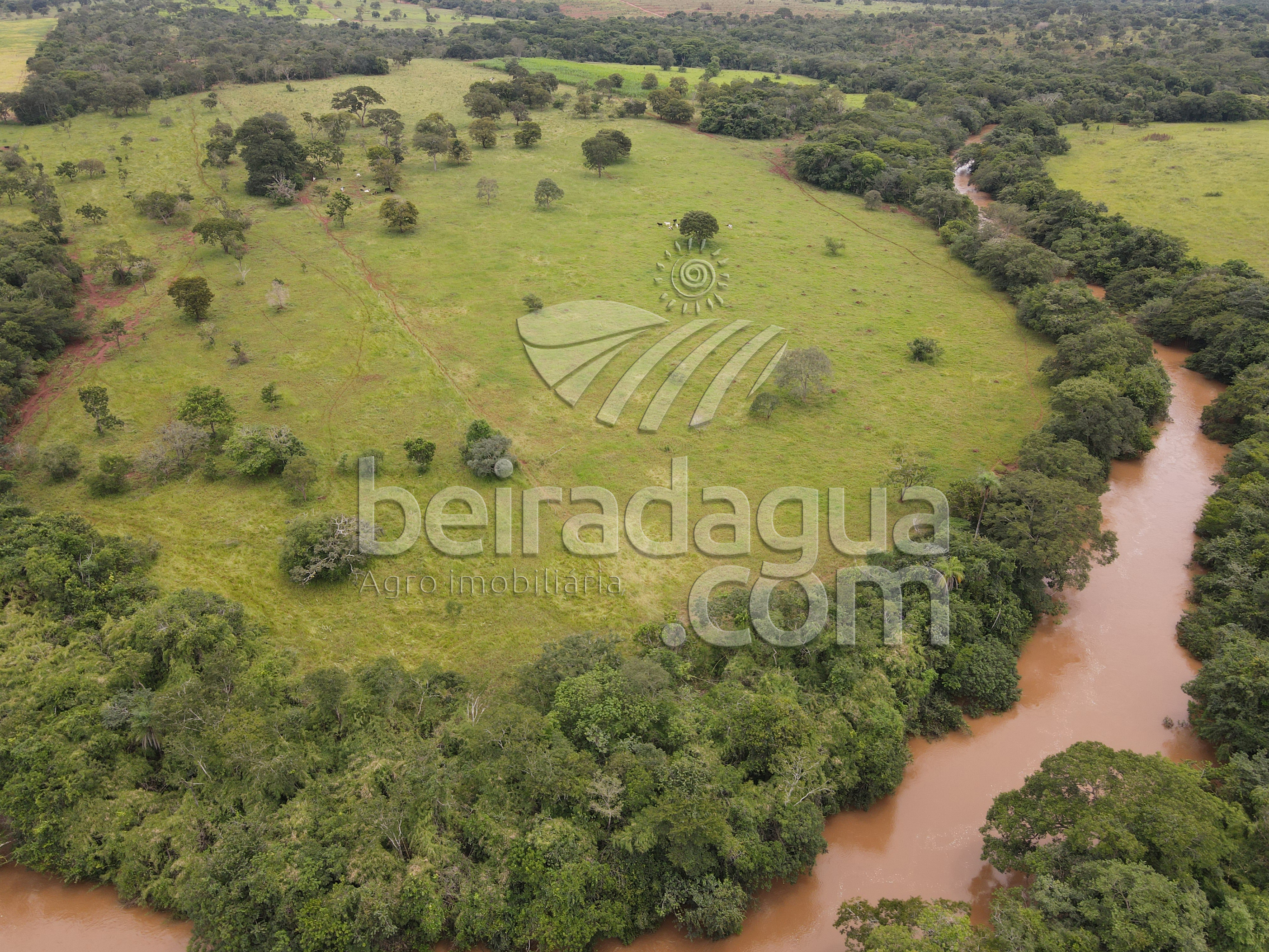 Fazenda para Comprar em Zona Rural - Campina Verde - MG