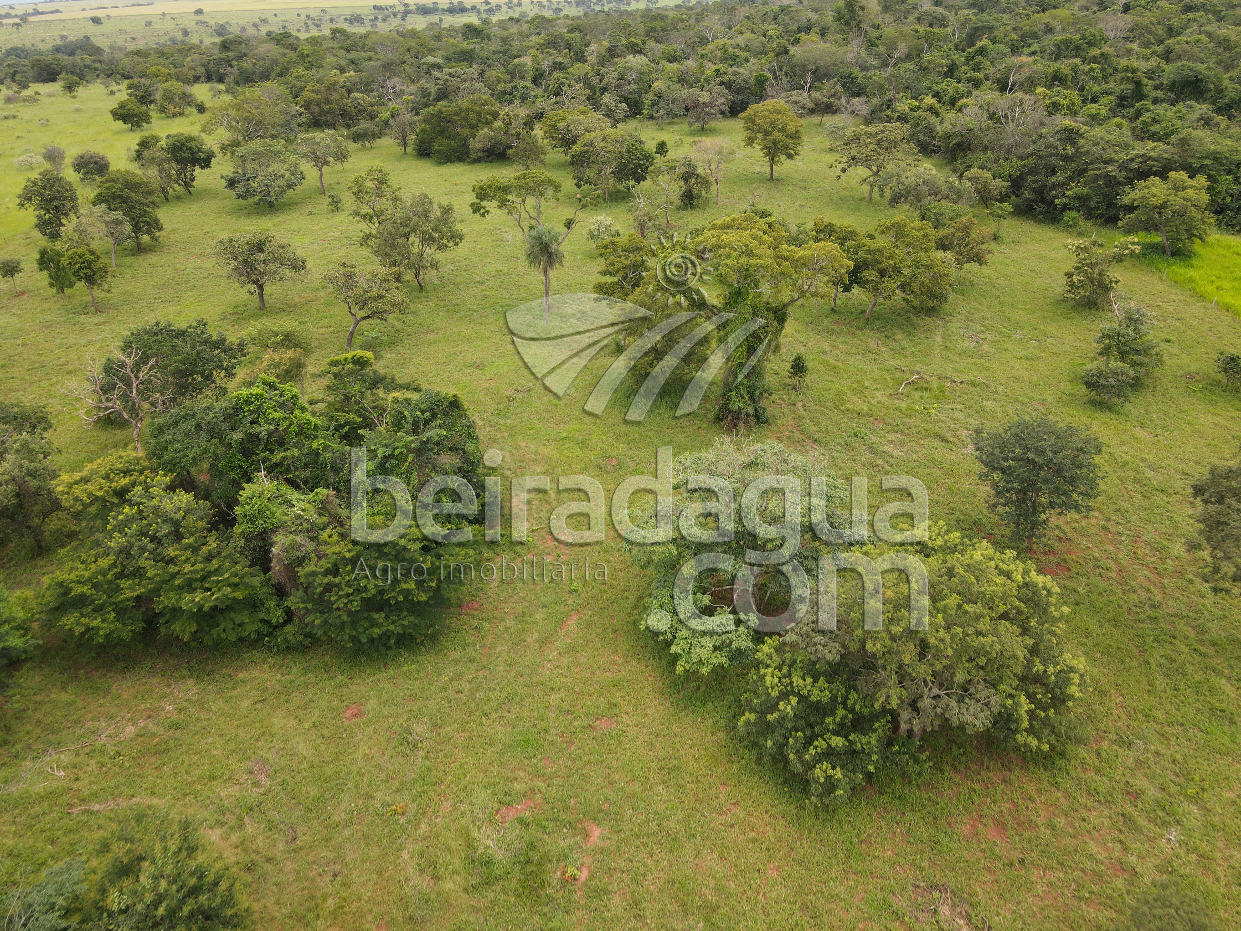 Fazenda para Comprar em Zona Rural - Campina Verde - MG