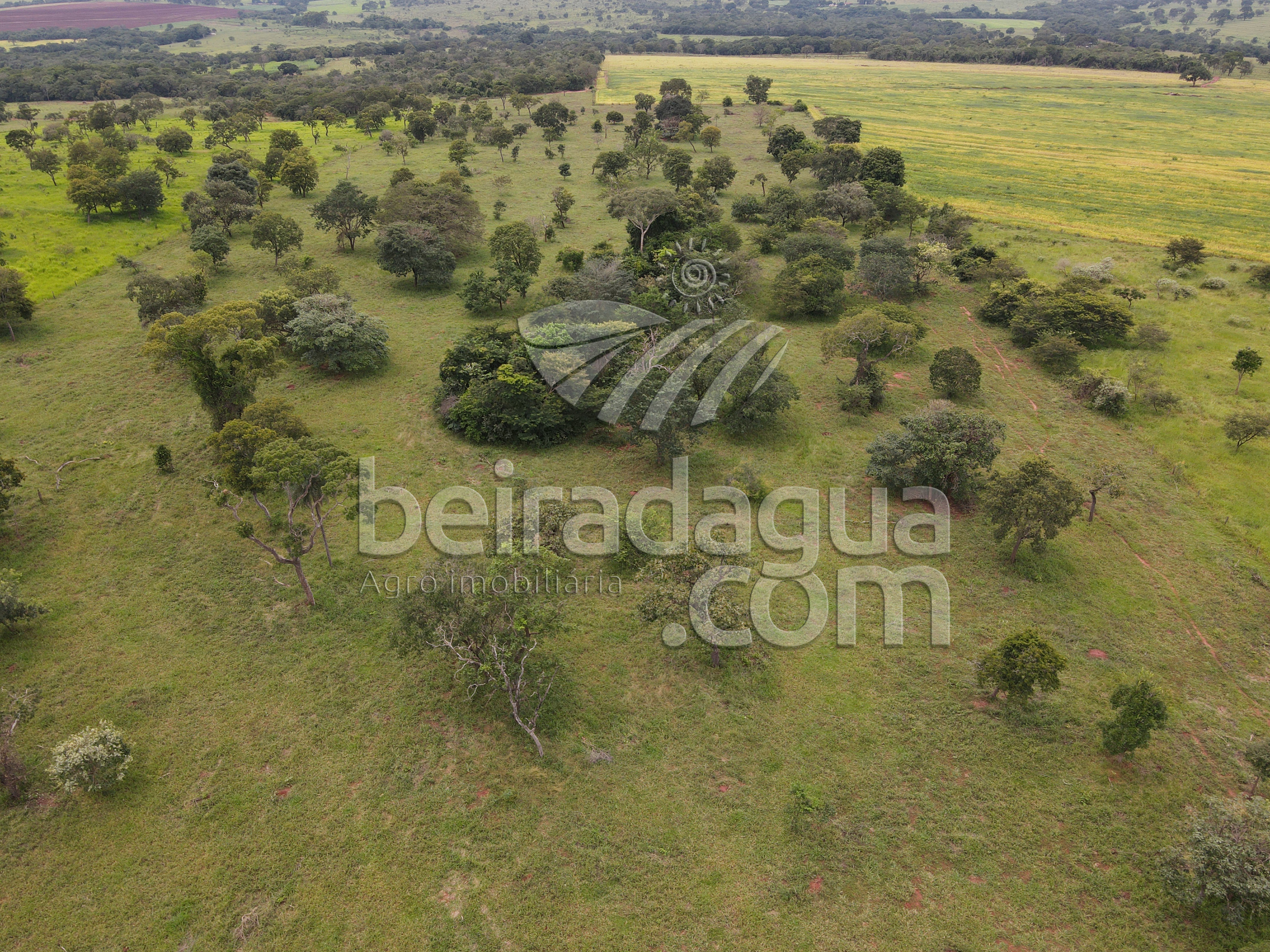 Fazenda para Comprar em Zona Rural - Campina Verde - MG