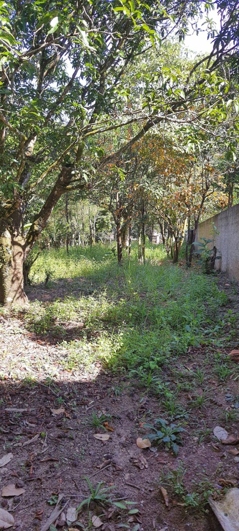 Chácara, 2 quartos - Foto 11