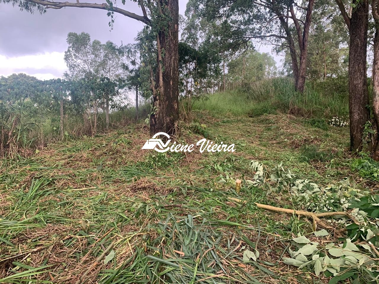 Terreno, 2177 m² - Foto 4
