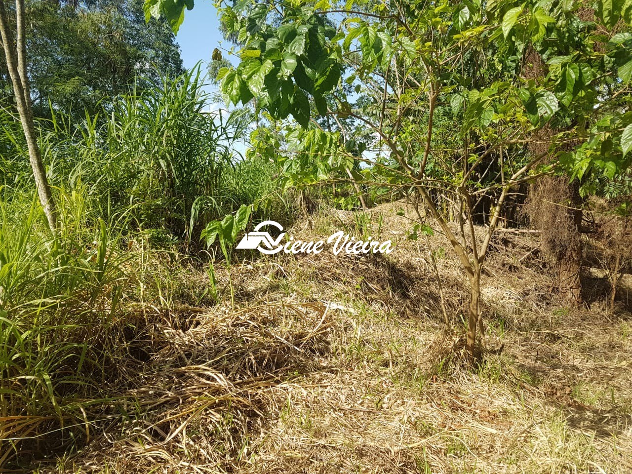 Terreno, 2177 m² - Foto 7