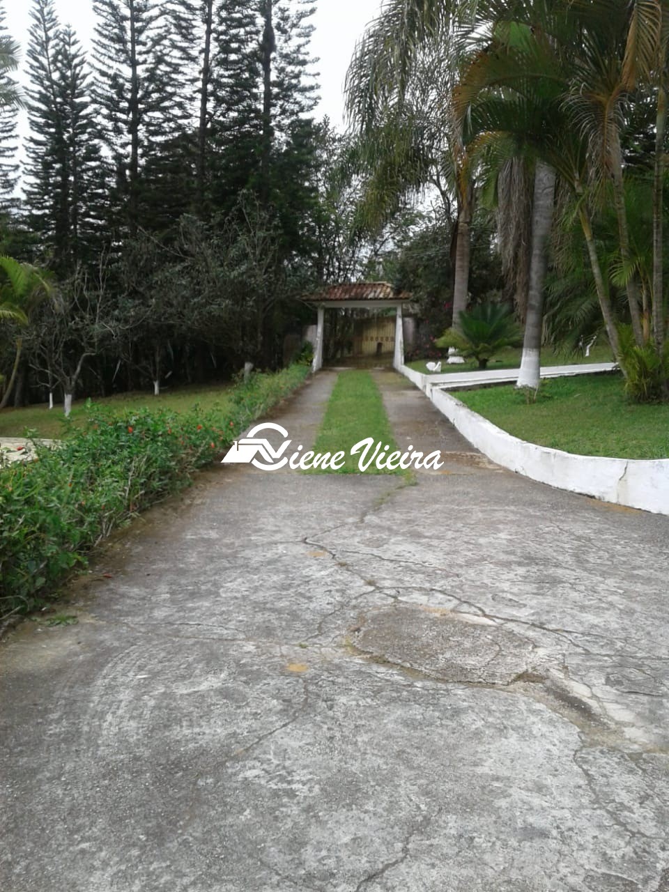 Chácara, 3 quartos, 10000 m² - Foto 2