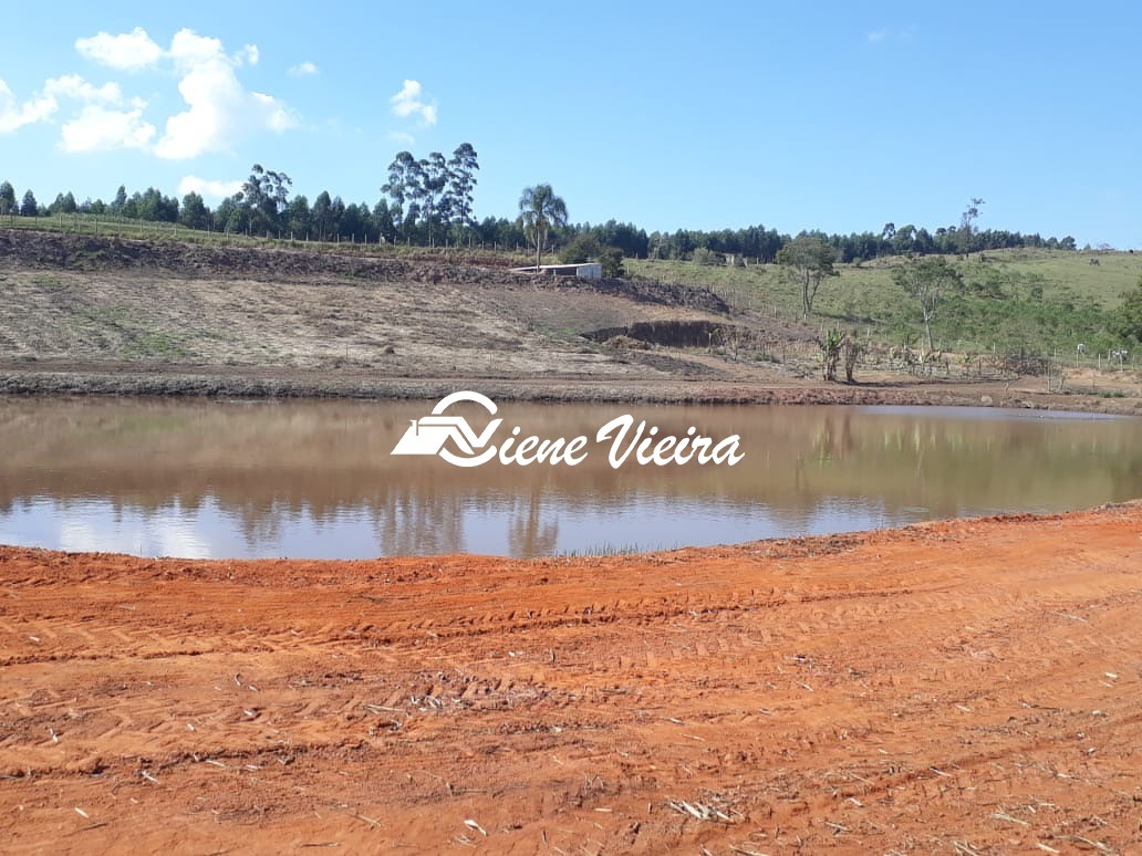 Chácara, 4 quartos, 2 hectares - Foto 4